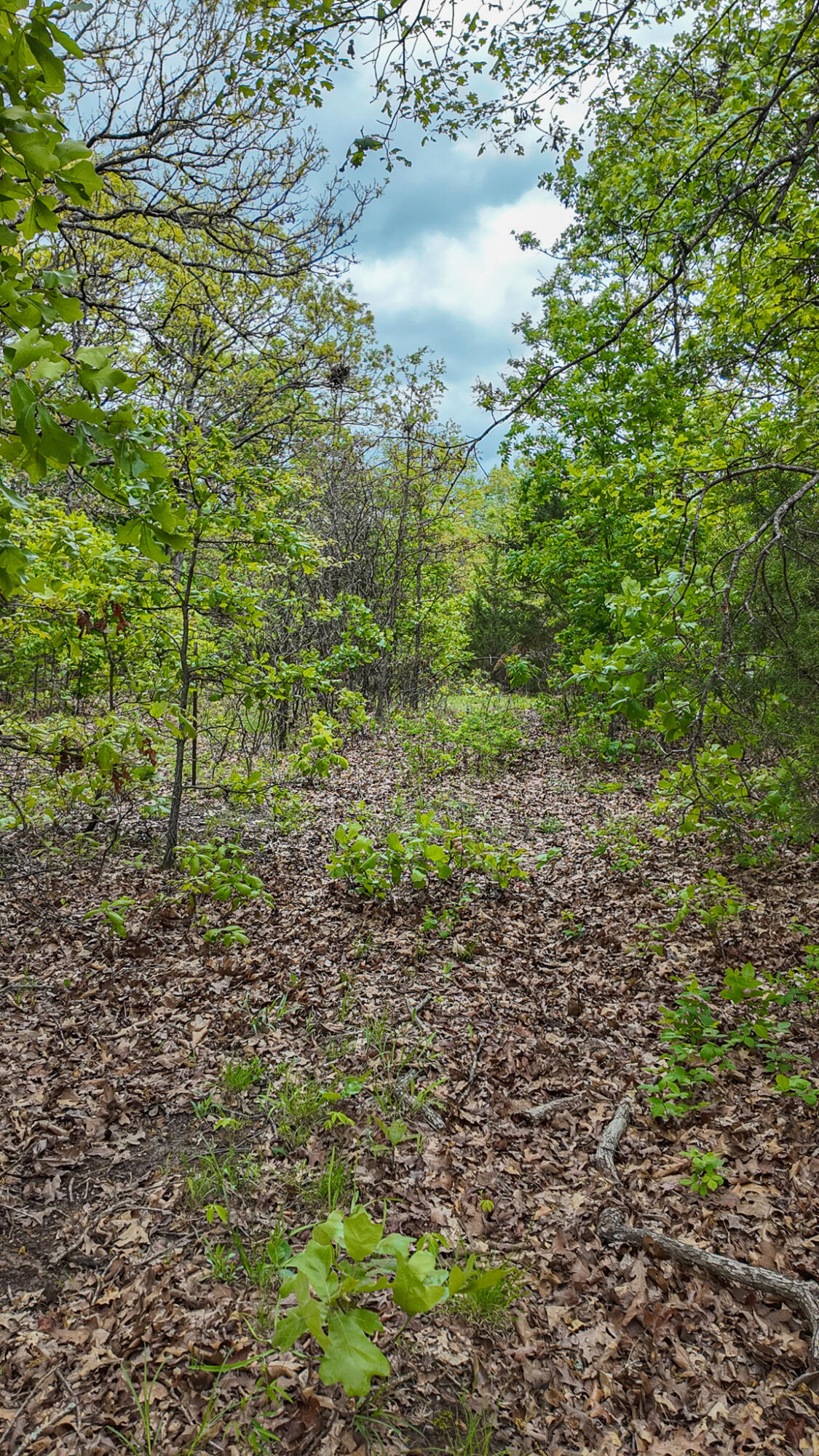 11375 Northeast 50 Road Property Photo 53