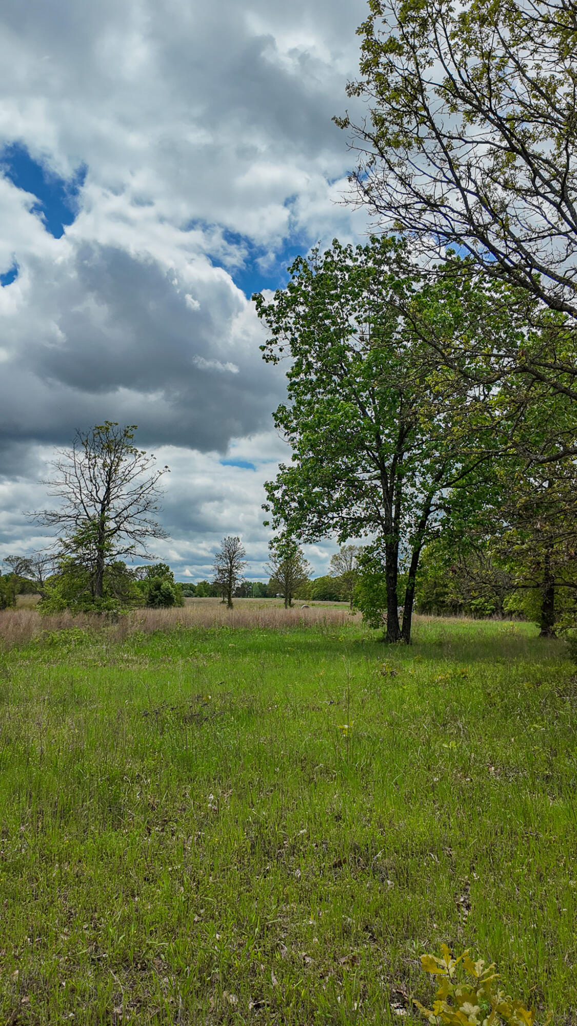 11375 Northeast 50 Road Property Photo 54