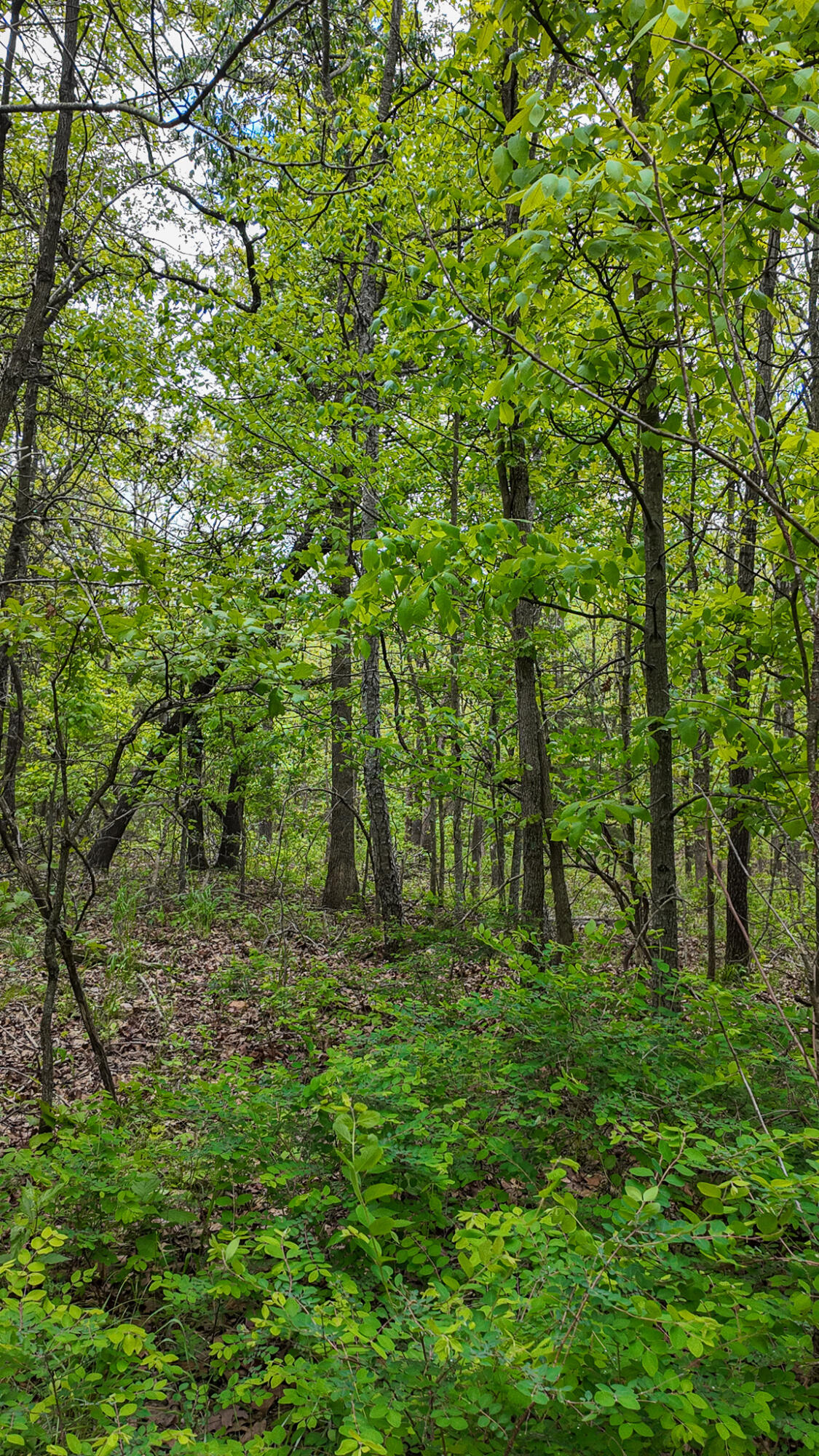 11375 Northeast 50 Road Property Photo 55