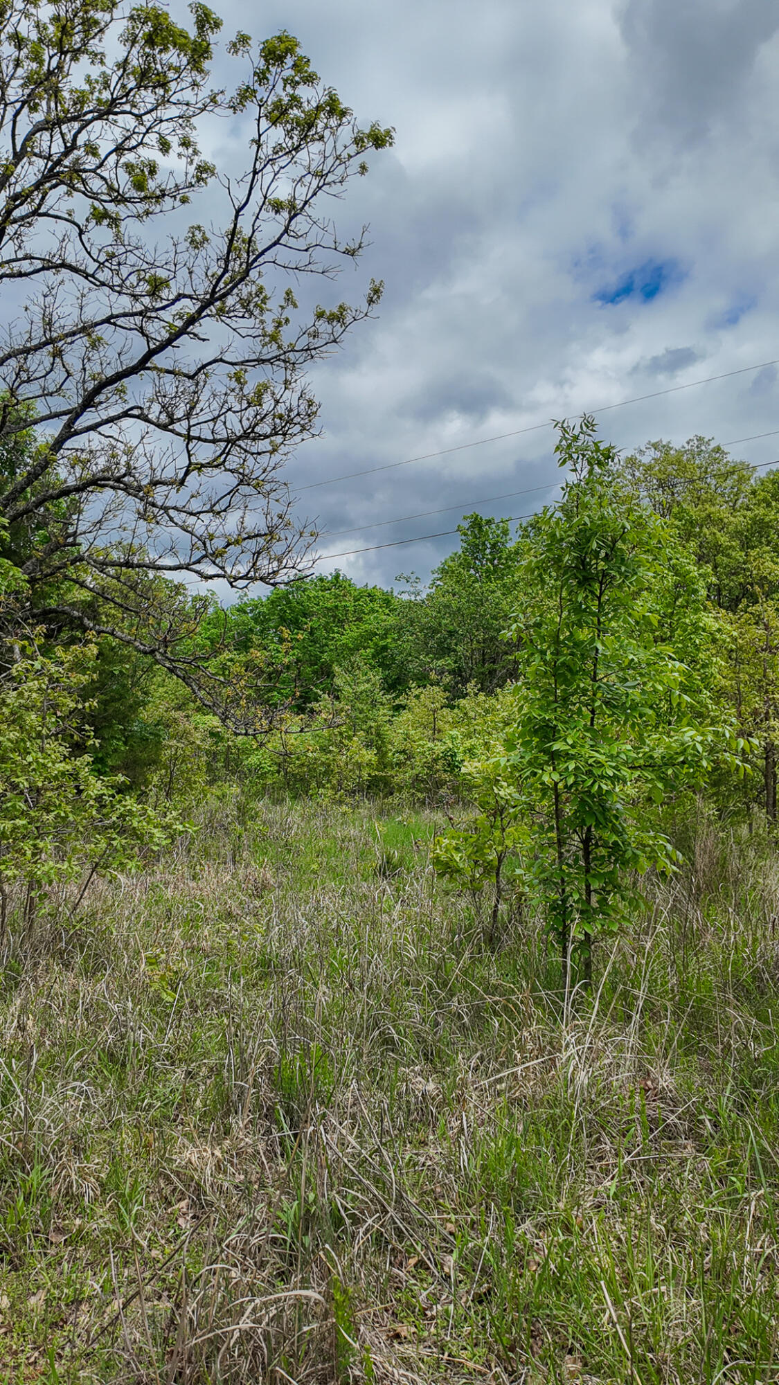 11375 Northeast 50 Road Property Photo 56
