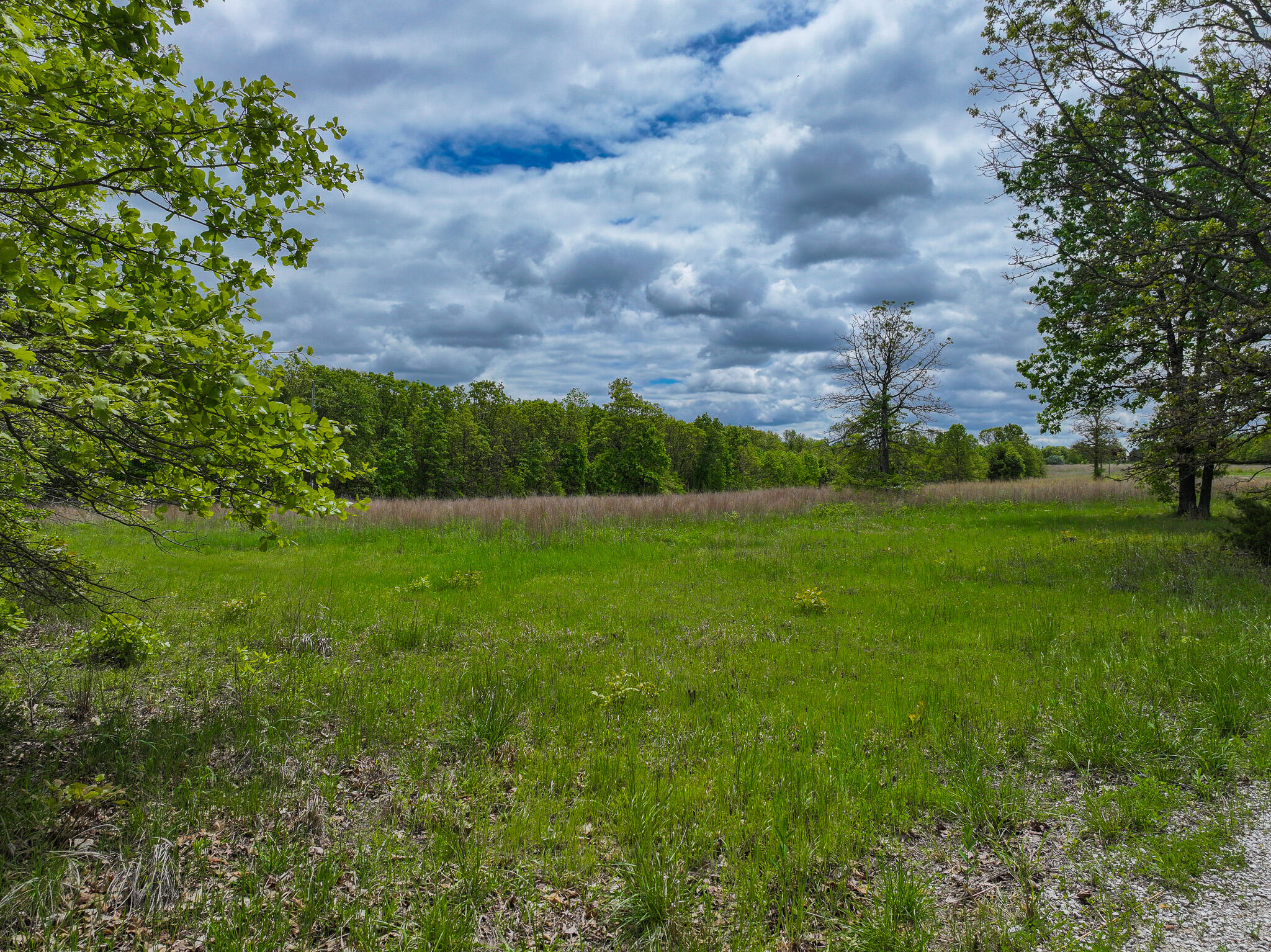 11375 Northeast 50 Road Property Photo 57