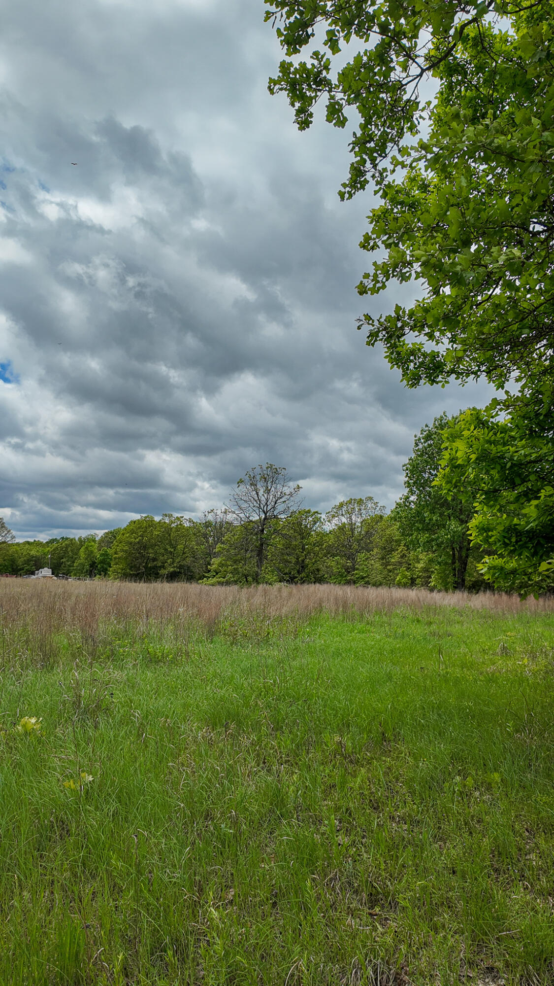 11375 Northeast 50 Road Property Photo 61