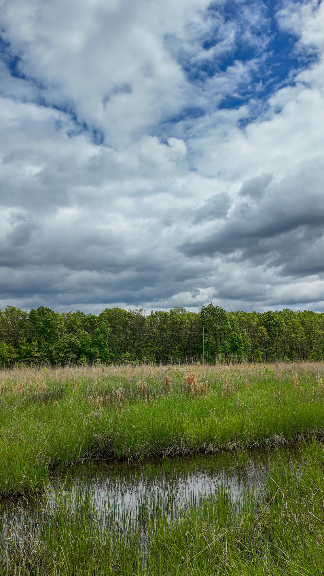 11375 Northeast 50 Road Property Photo 63