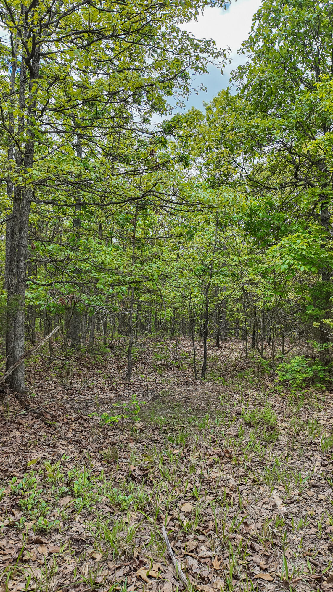 11375 Northeast 50 Road Property Photo 66
