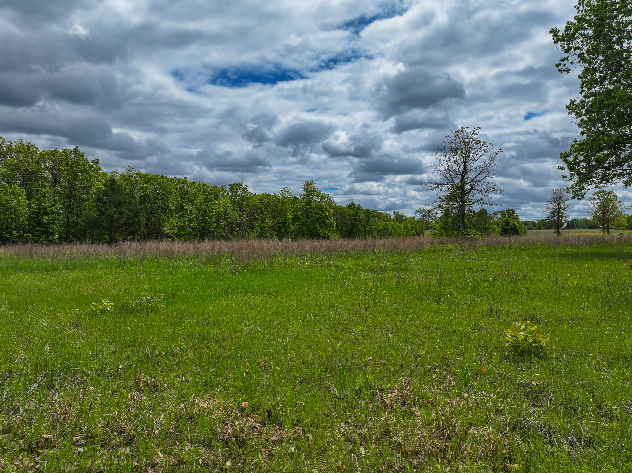 11375 Northeast 50 Road Property Photo 74