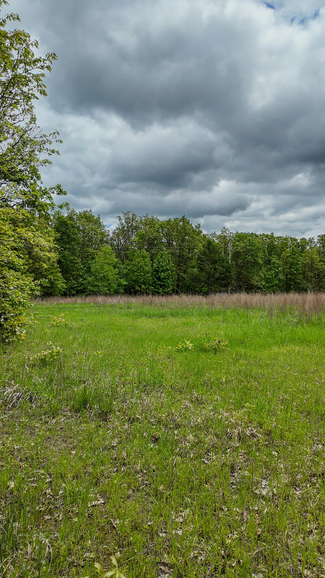 11375 Northeast 50 Road Property Photo 75