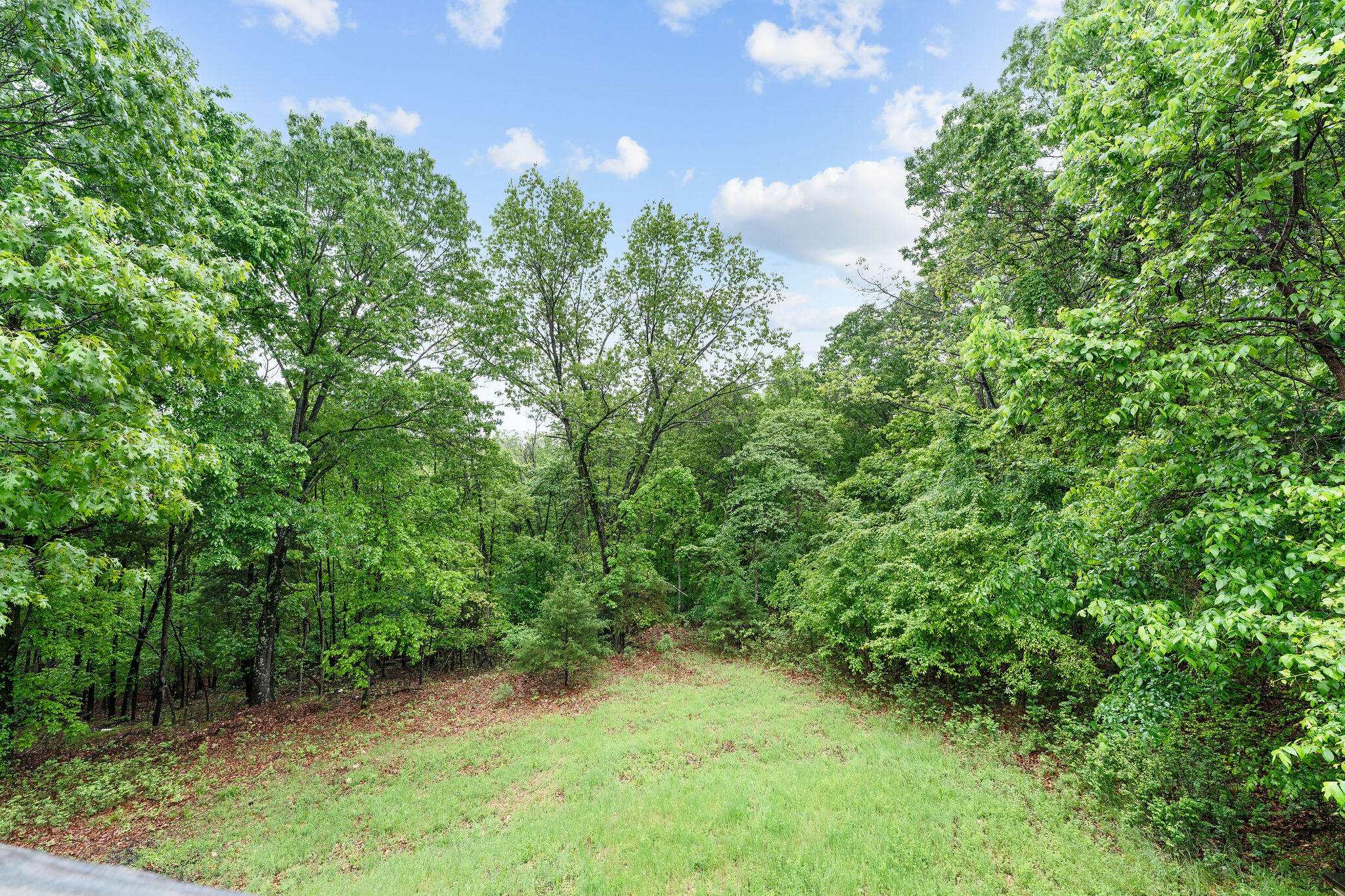 220 John The Diver Trail Property Photo 29