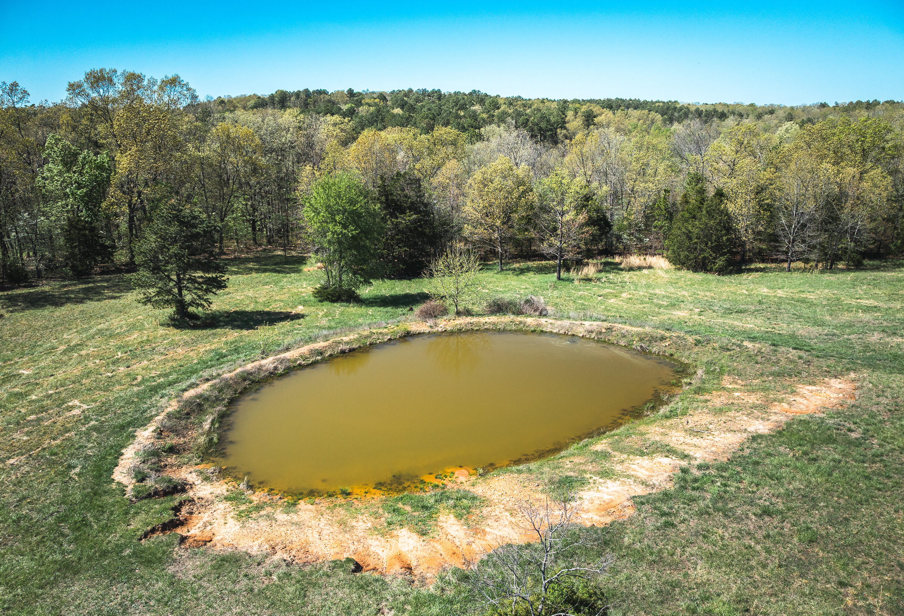000 Forest Service Rd 1792 Property Photo 2