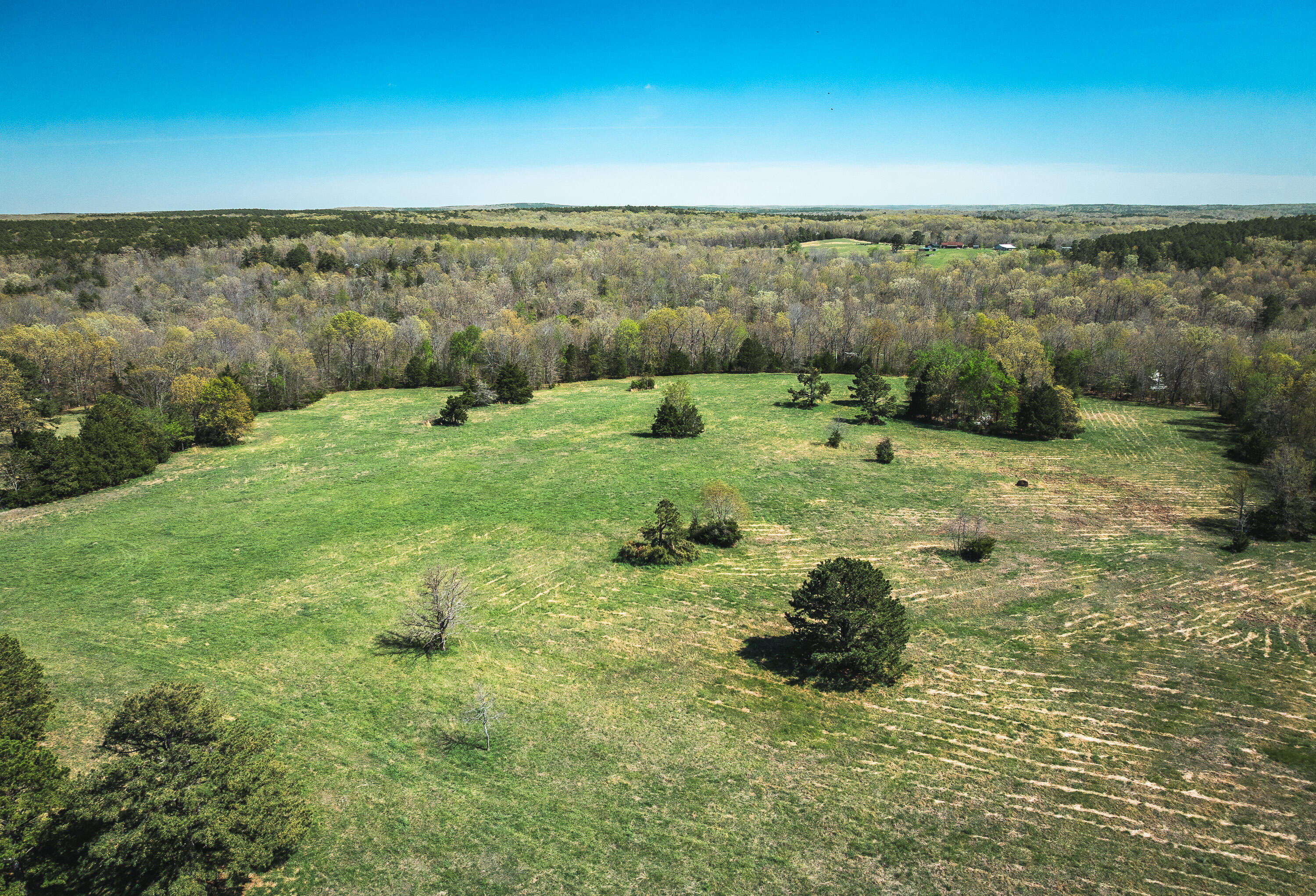 000 Forest Service Rd 1792 Property Photo 6