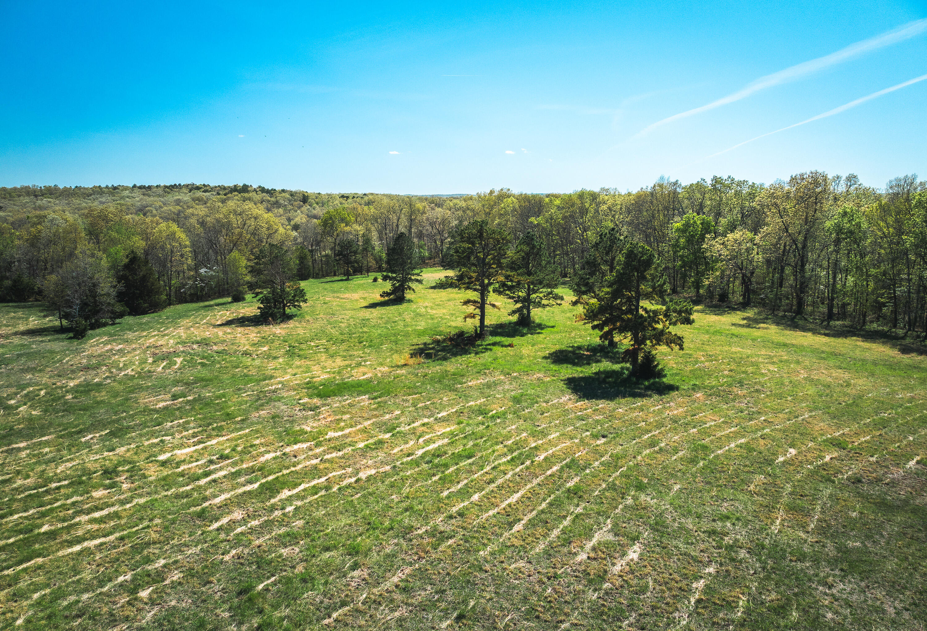 000 Forest Service Rd 1792 Property Photo 8