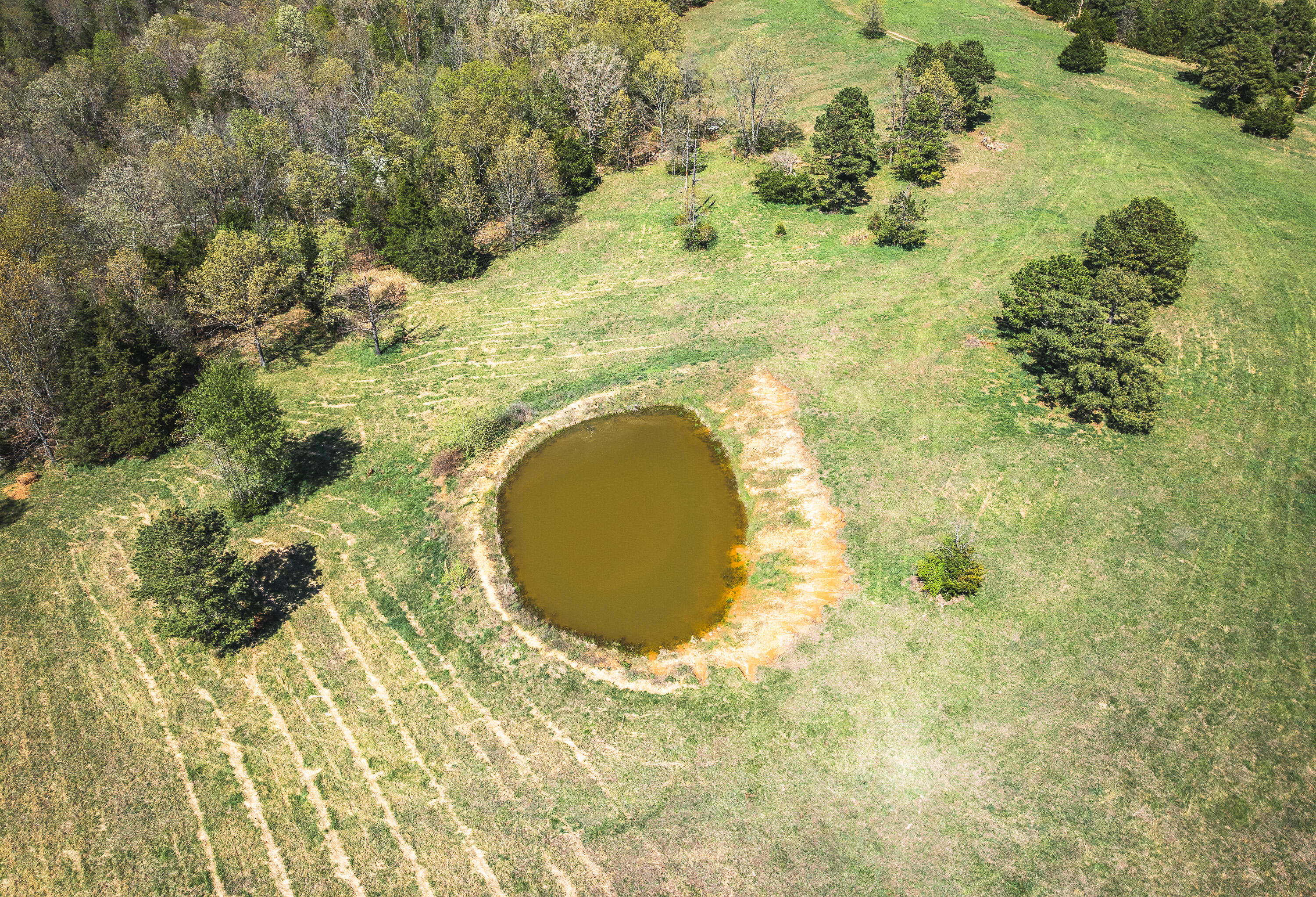 000 Forest Service Rd 1792 Property Photo 14