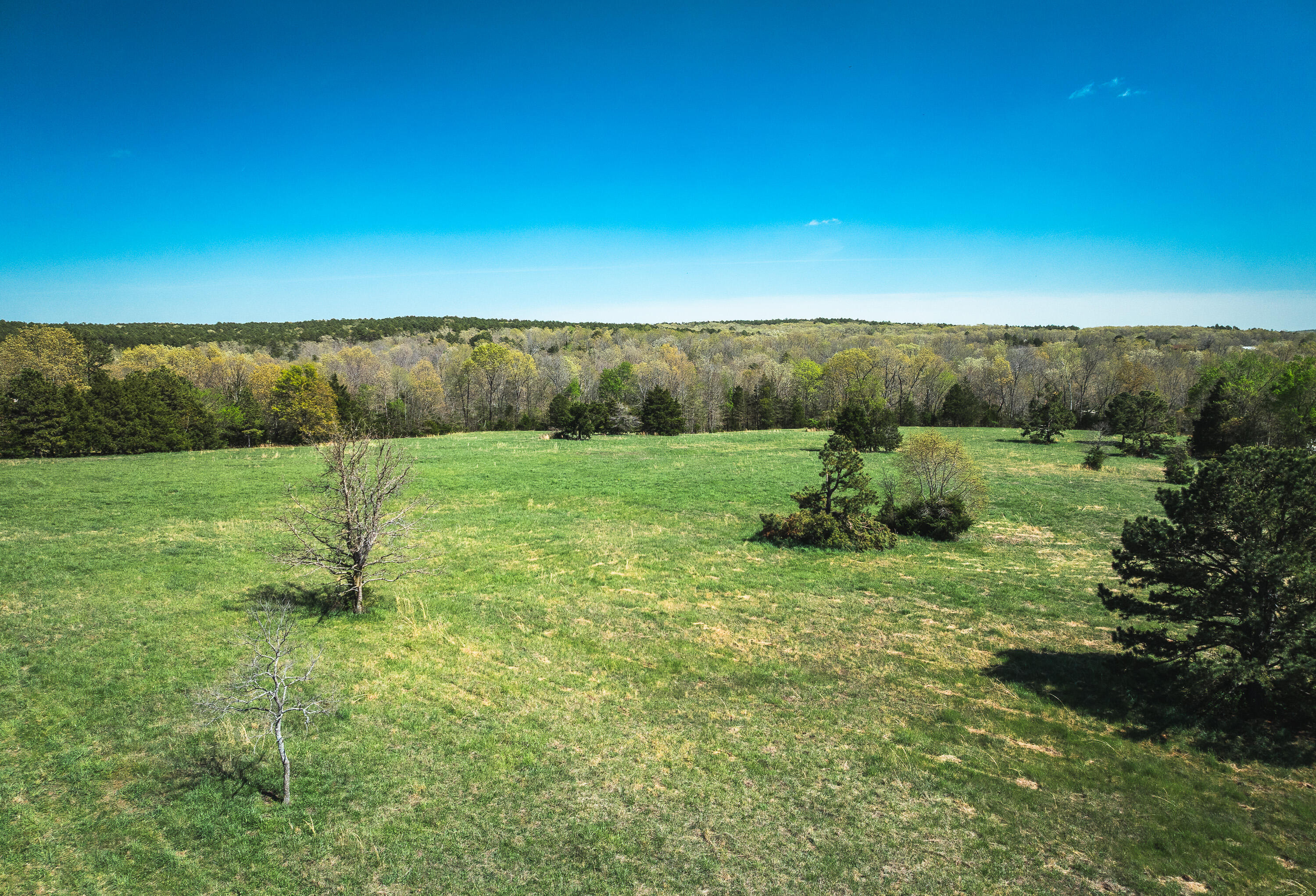 000 Forest Service Rd 1792 Property Photo 15