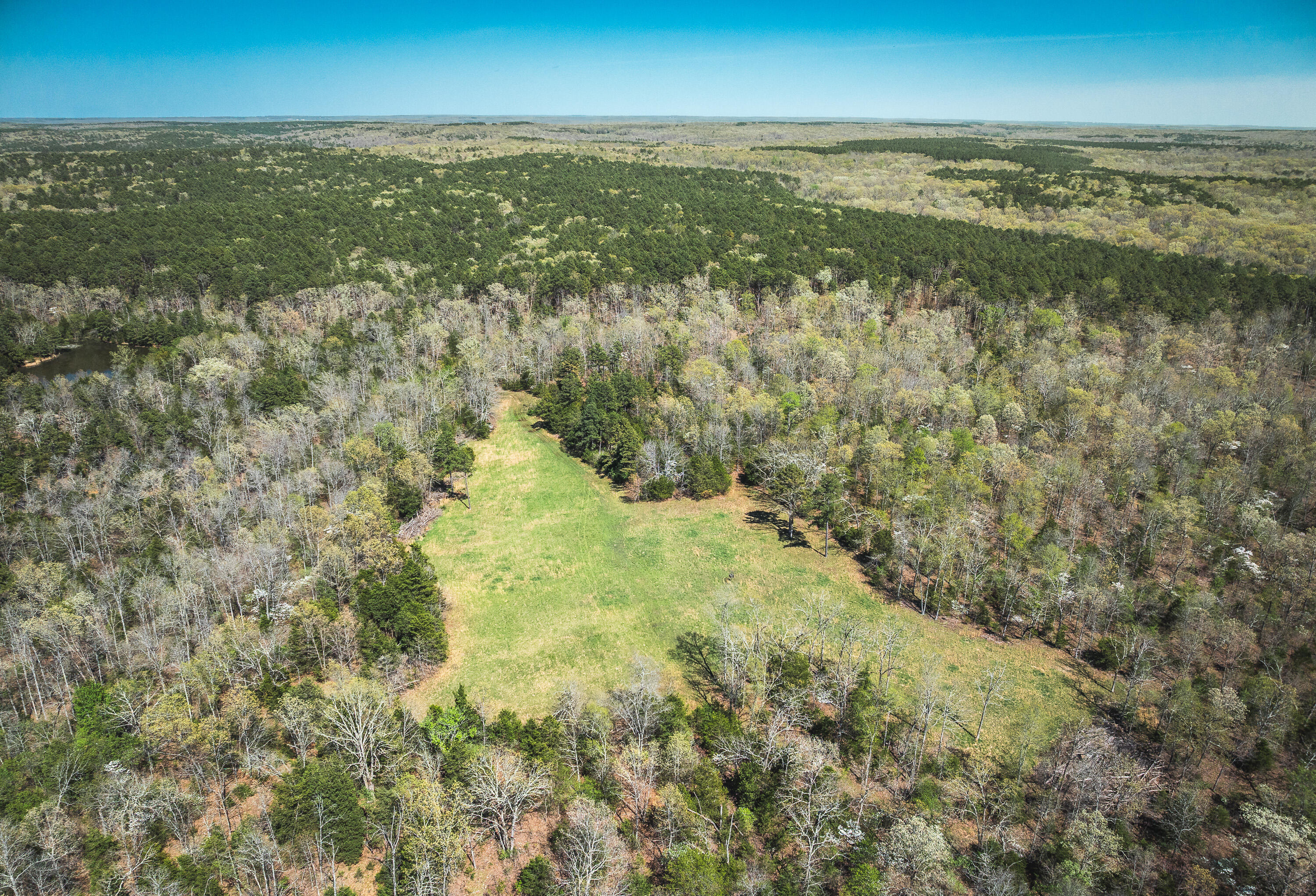 000 Forest Service Rd 1792 Property Photo 18