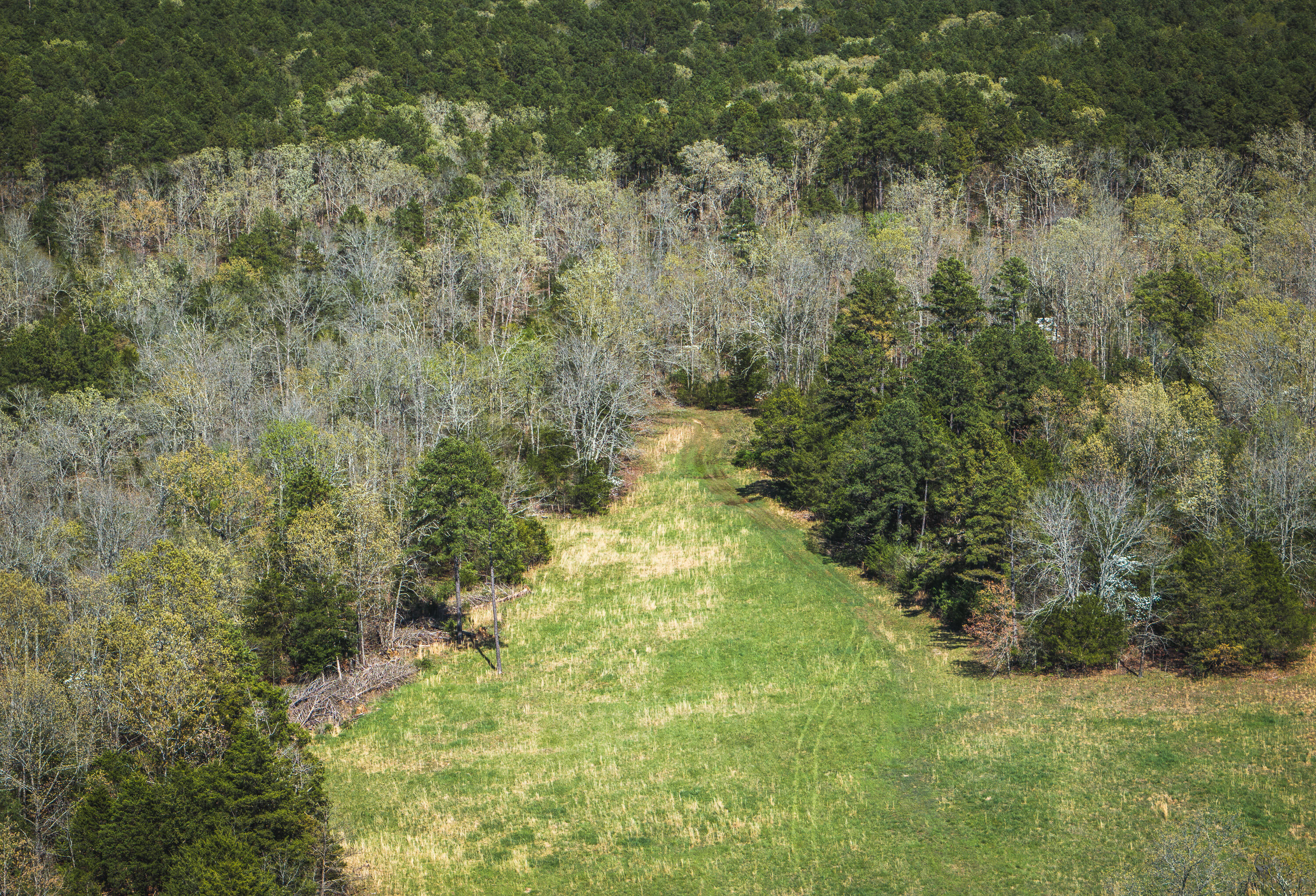 000 Forest Service Rd 1792 Property Photo 19