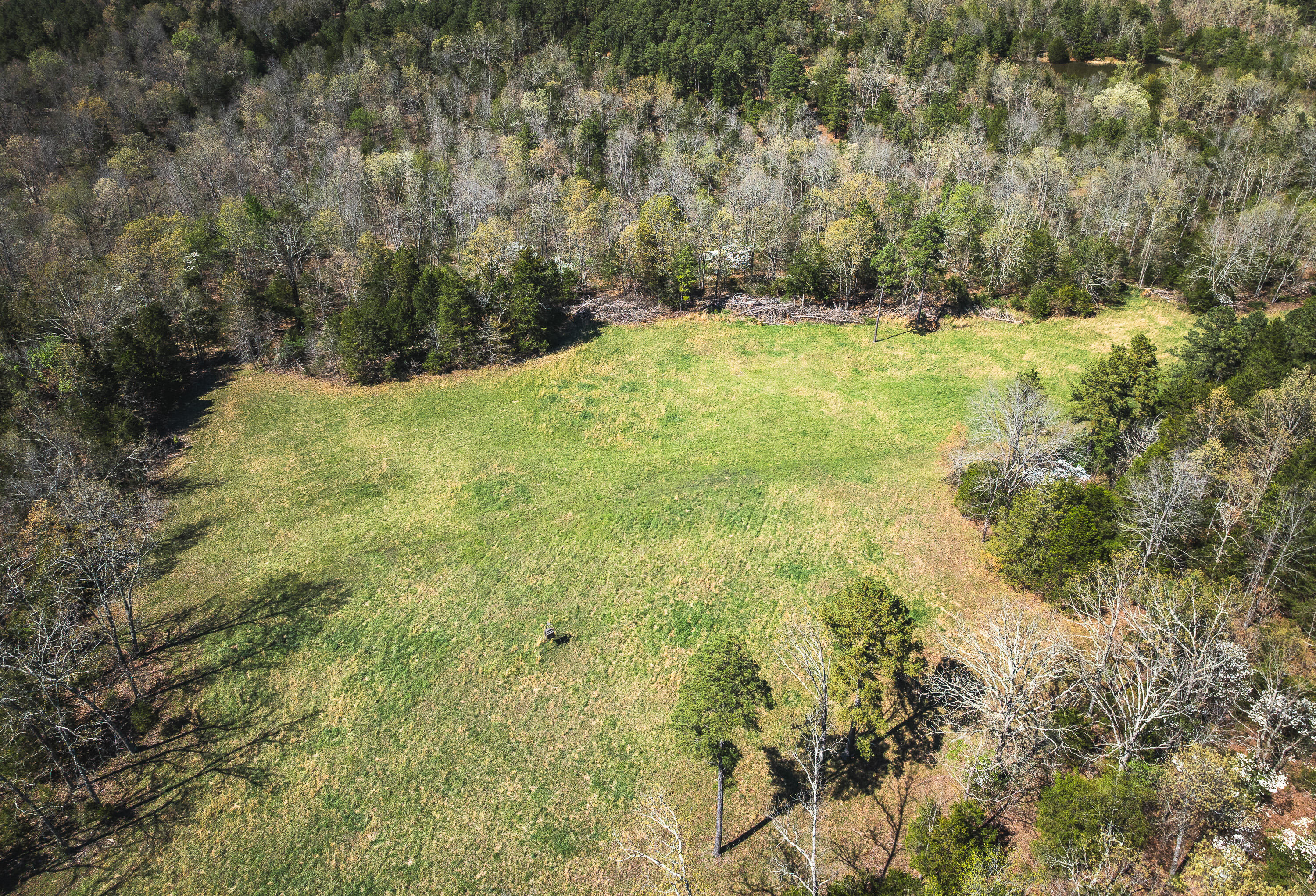 000 Forest Service Rd 1792 Property Photo 22