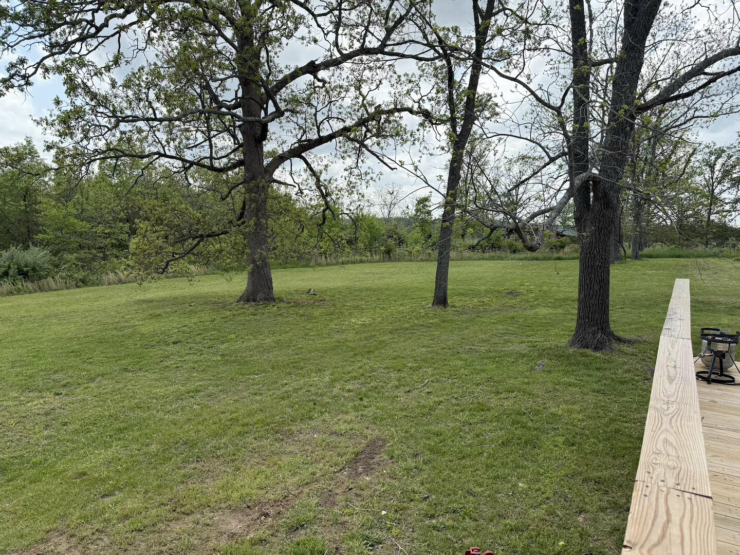 1398 County Road 670 Property Photo 16