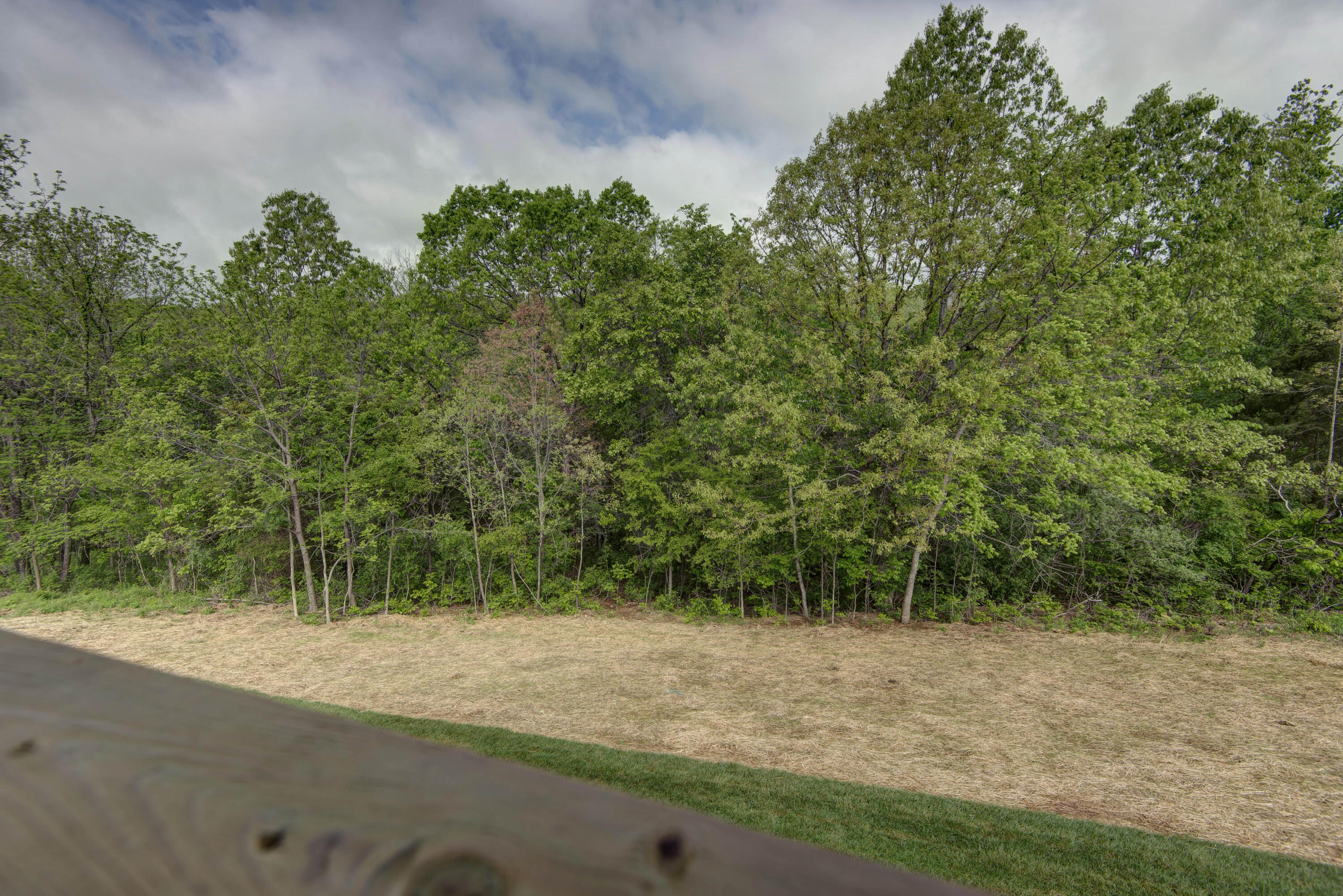 385 Plumtree Drive Property Photo 46