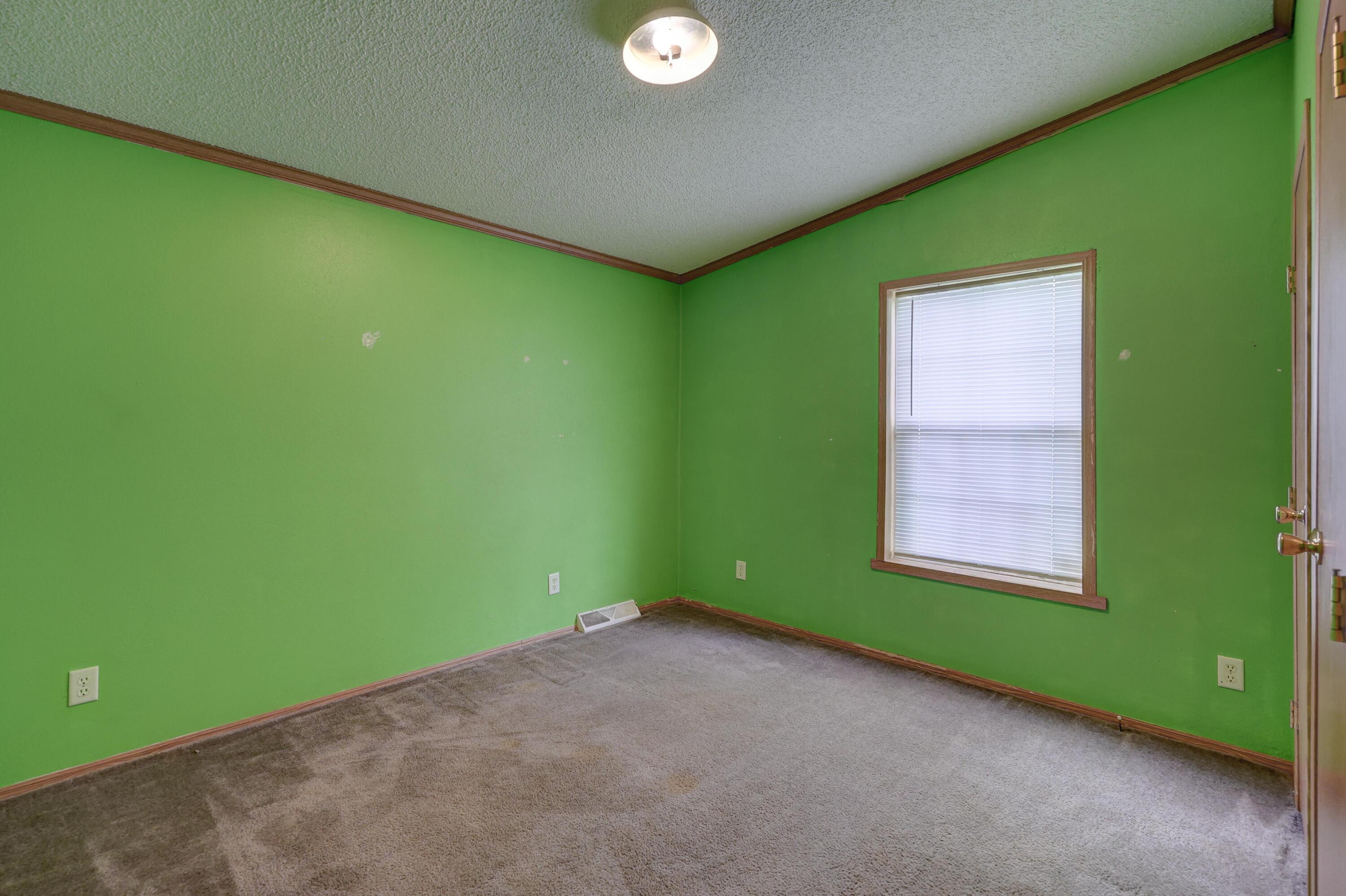 311 Miller Street Property Photo 28