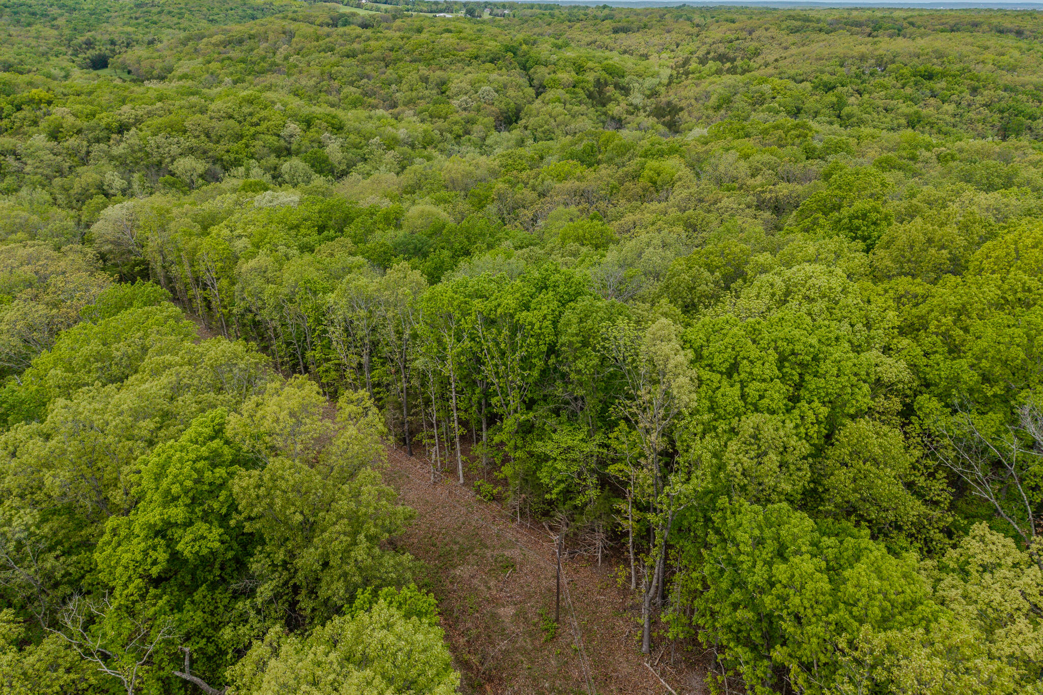 000 Pandamonium Way Property Photo