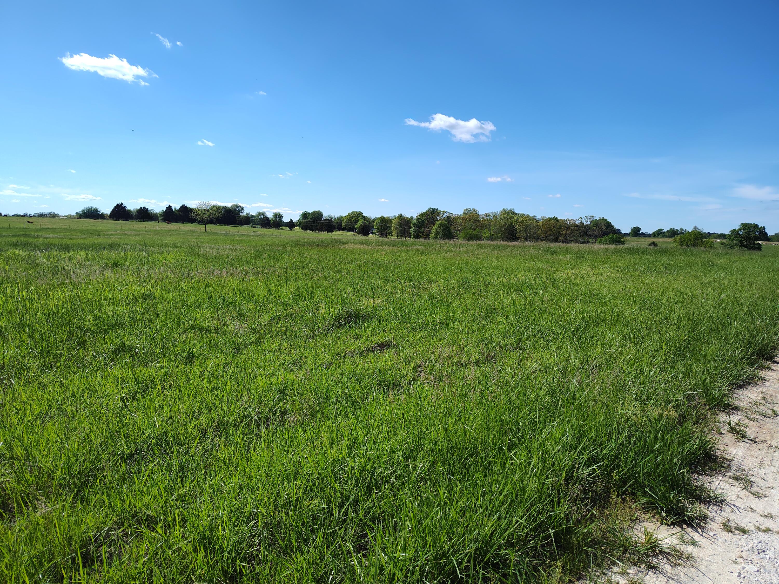 000 County Road 220 Property Photo 5