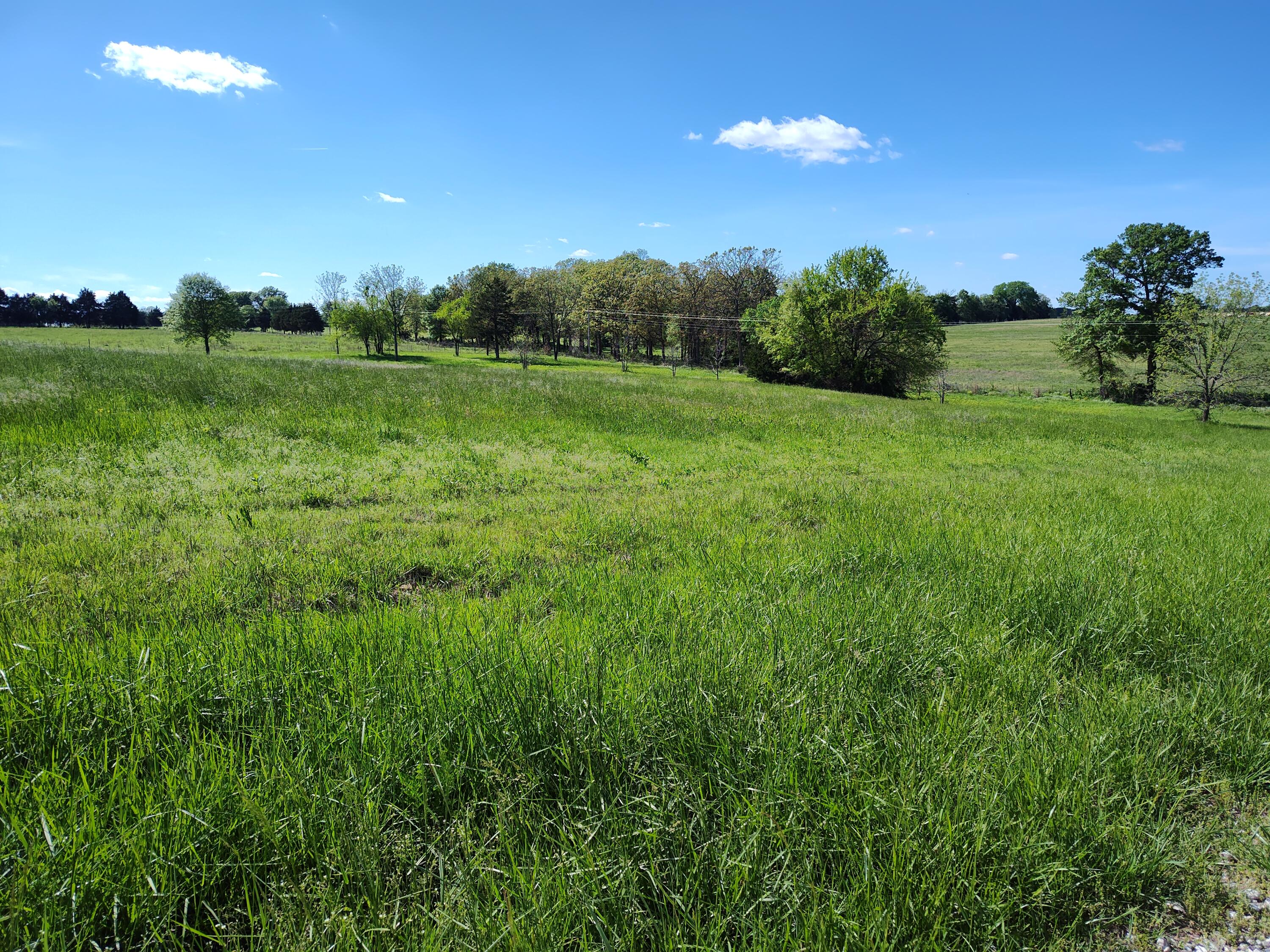 000 County Road 220 Property Photo 6