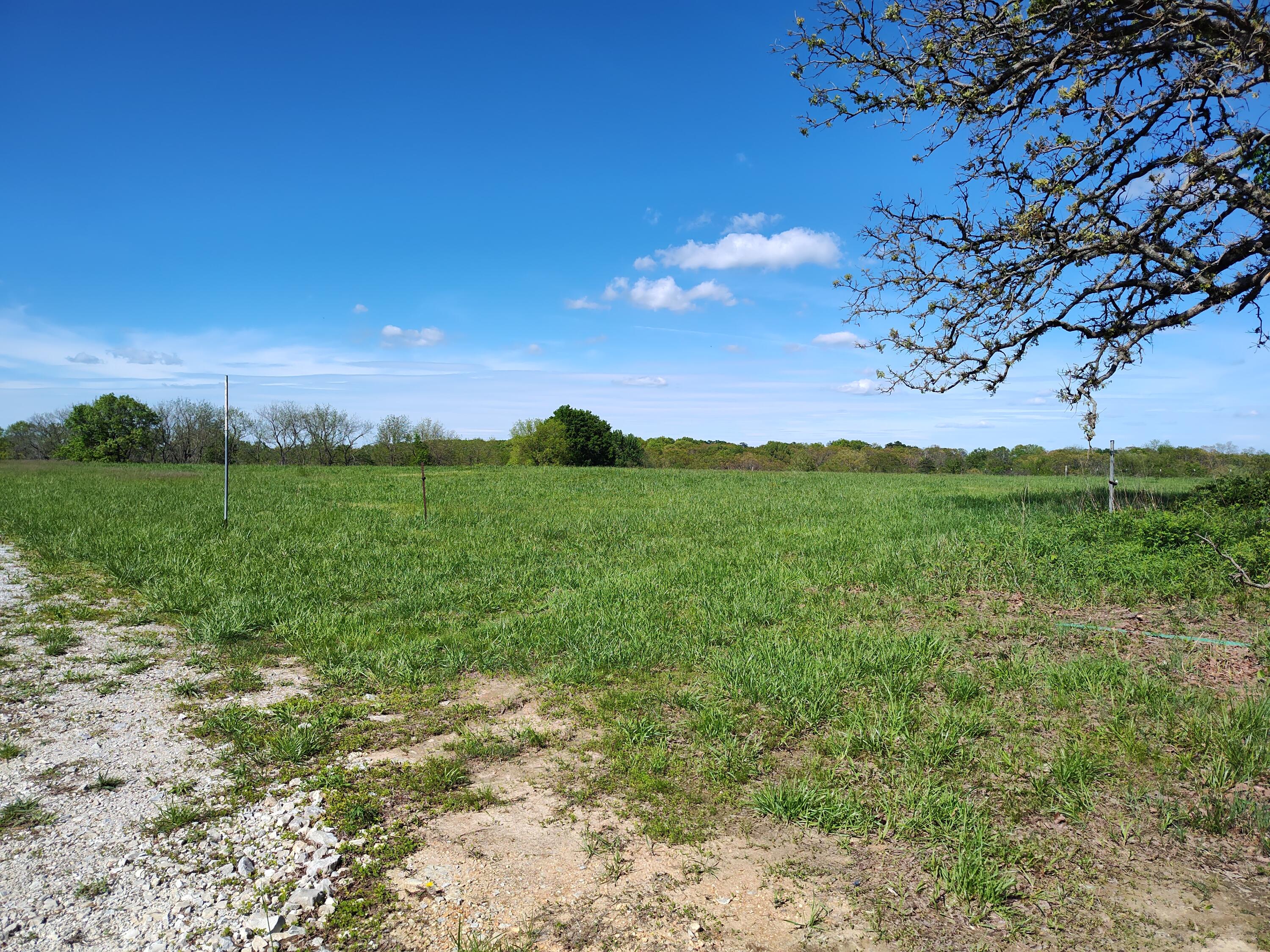 000 County Road 220 Property Photo 7