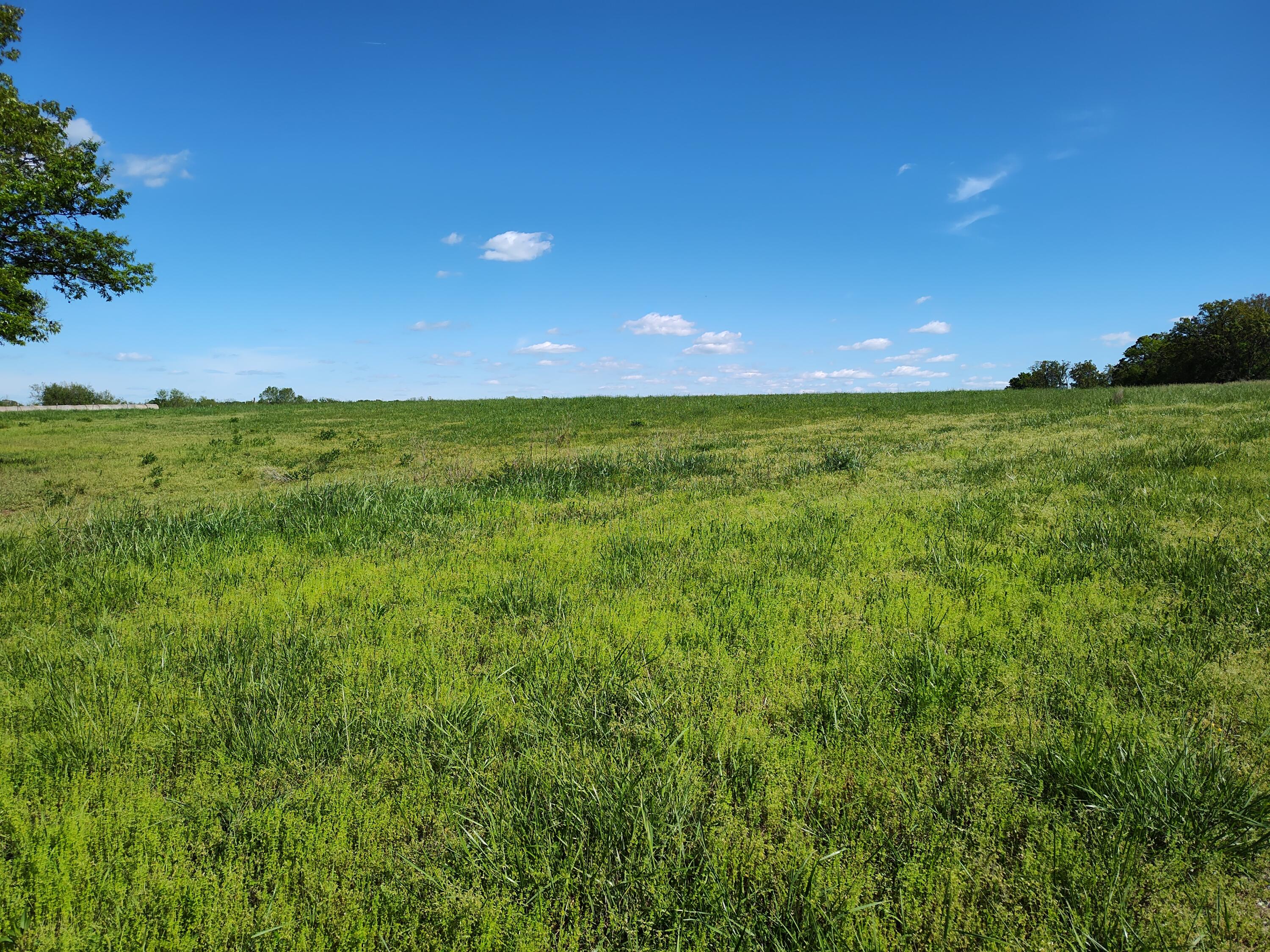 000 County Road 220 Property Photo 8