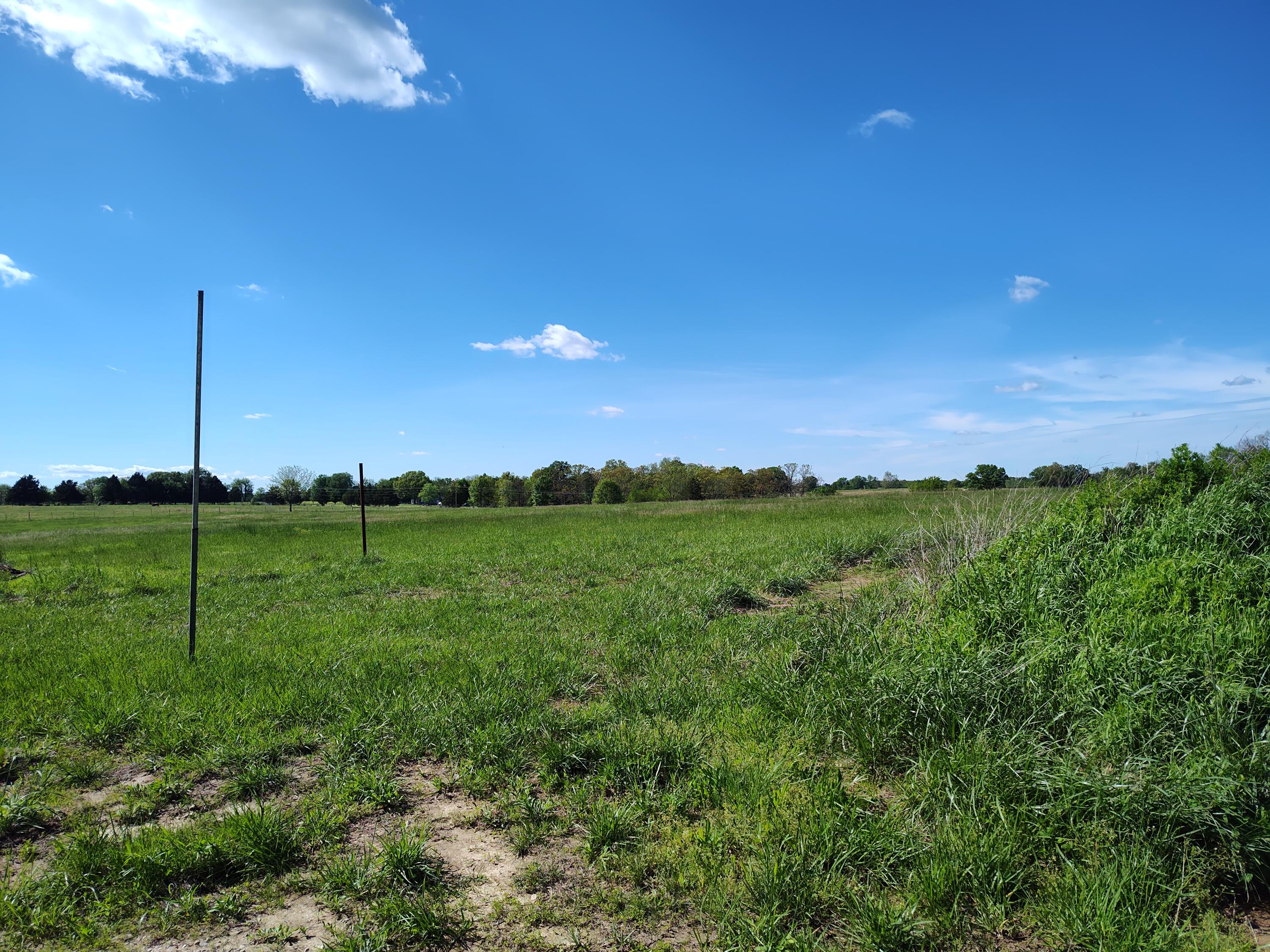 000 County Road 220 Property Photo 9