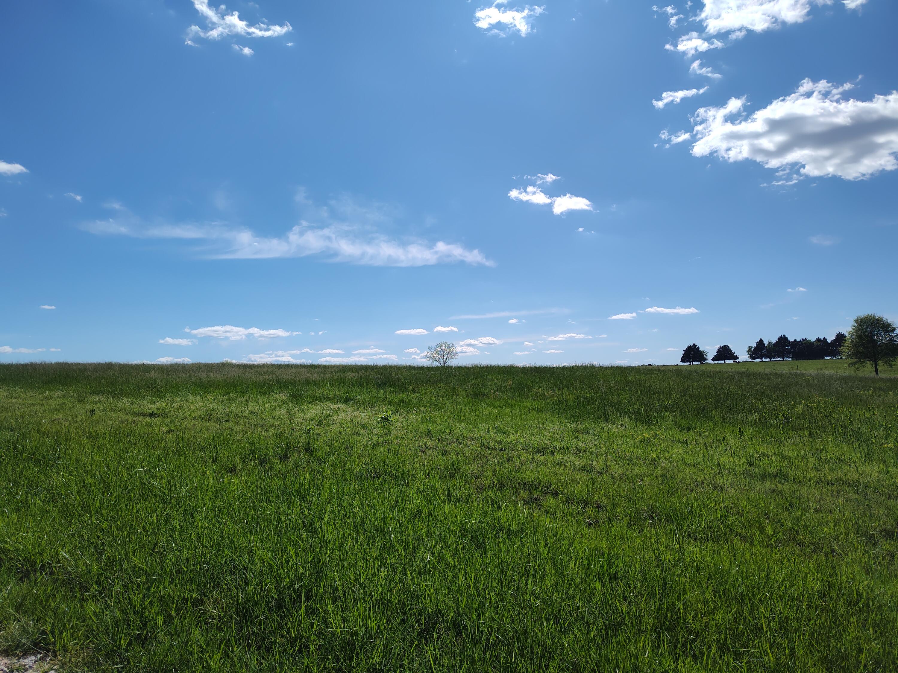 000 County Road 220 Property Photo 10