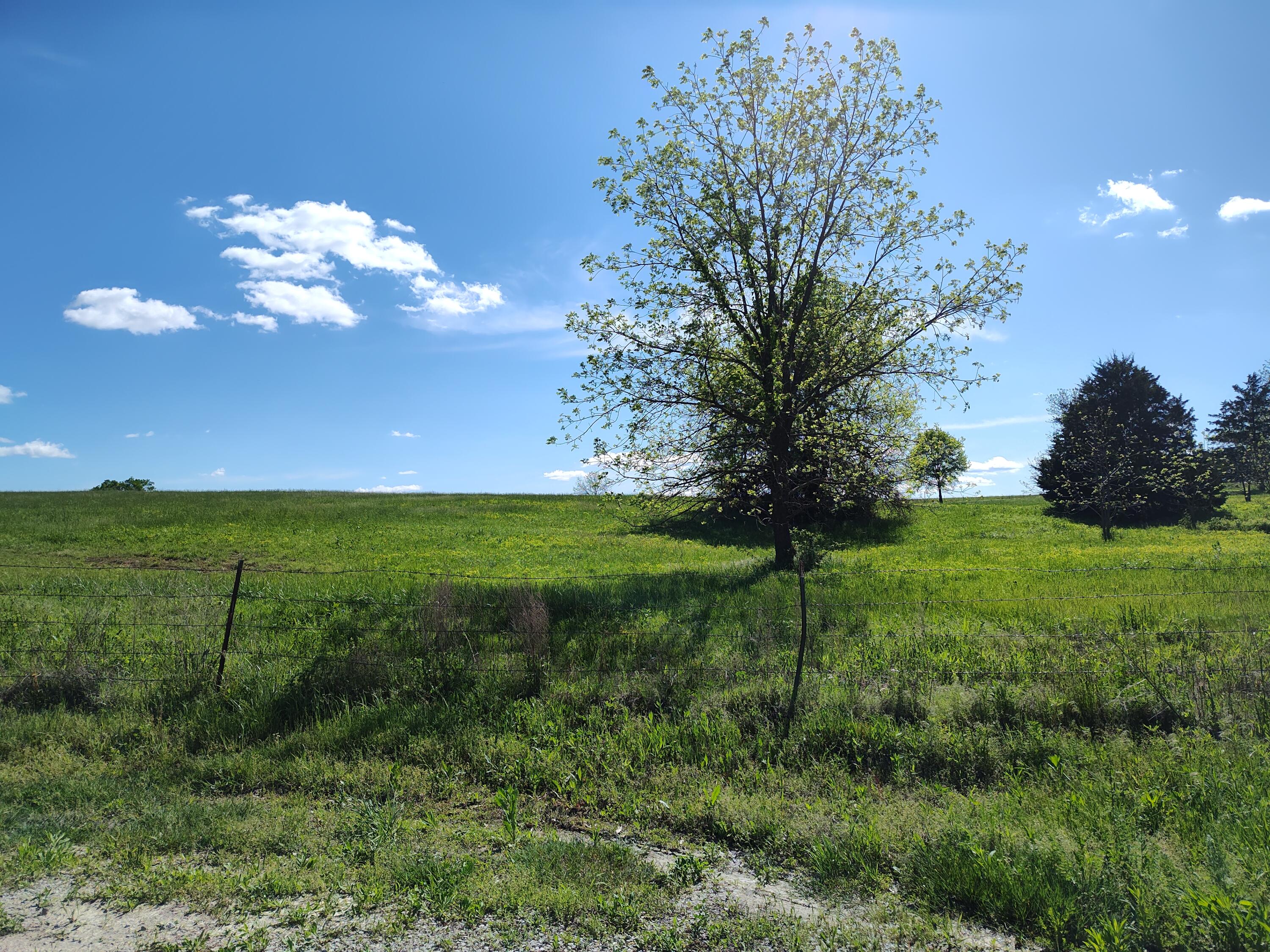 000 County Road 220 Property Photo 11