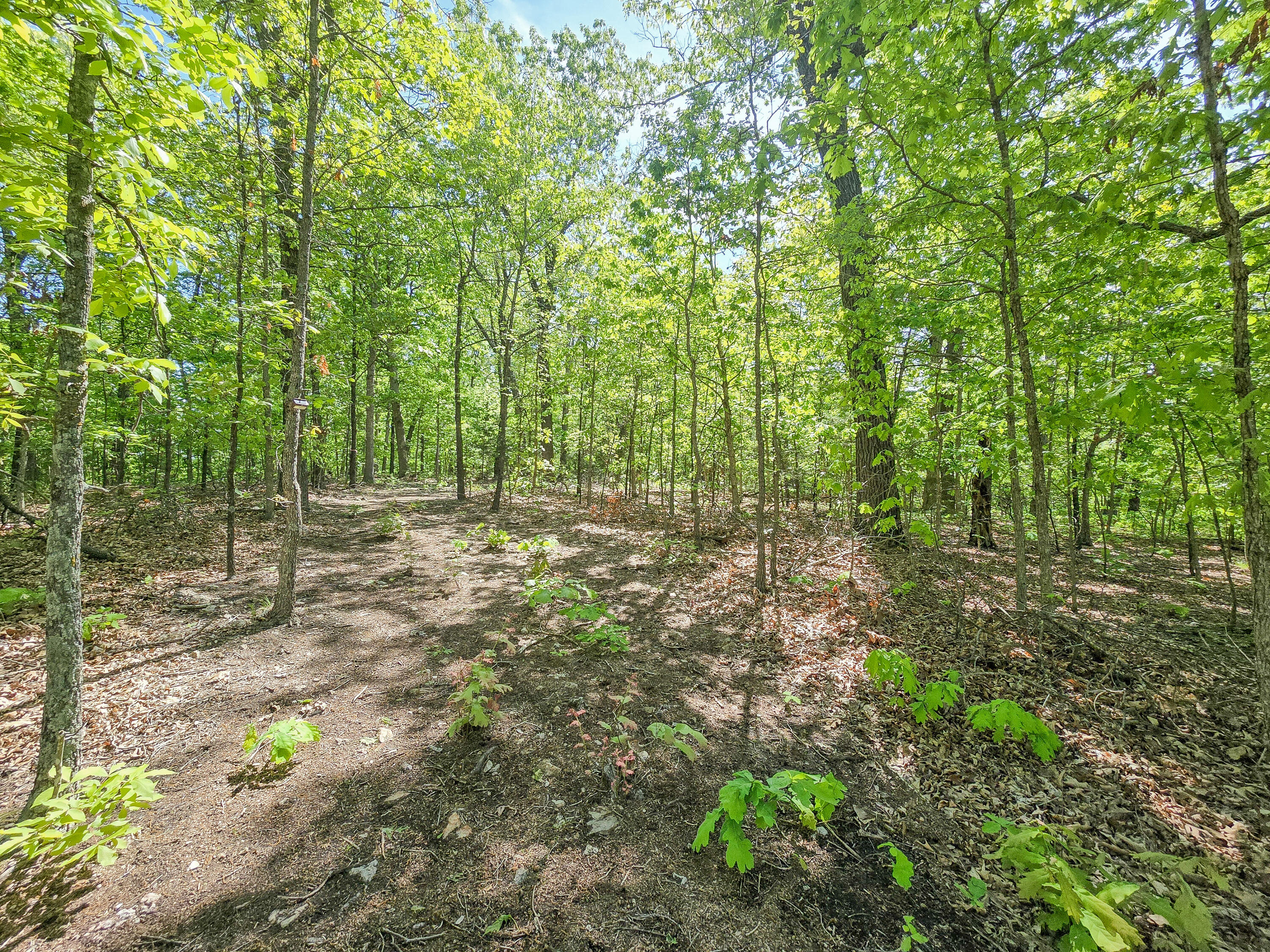 000 County Road 405c Property Photo