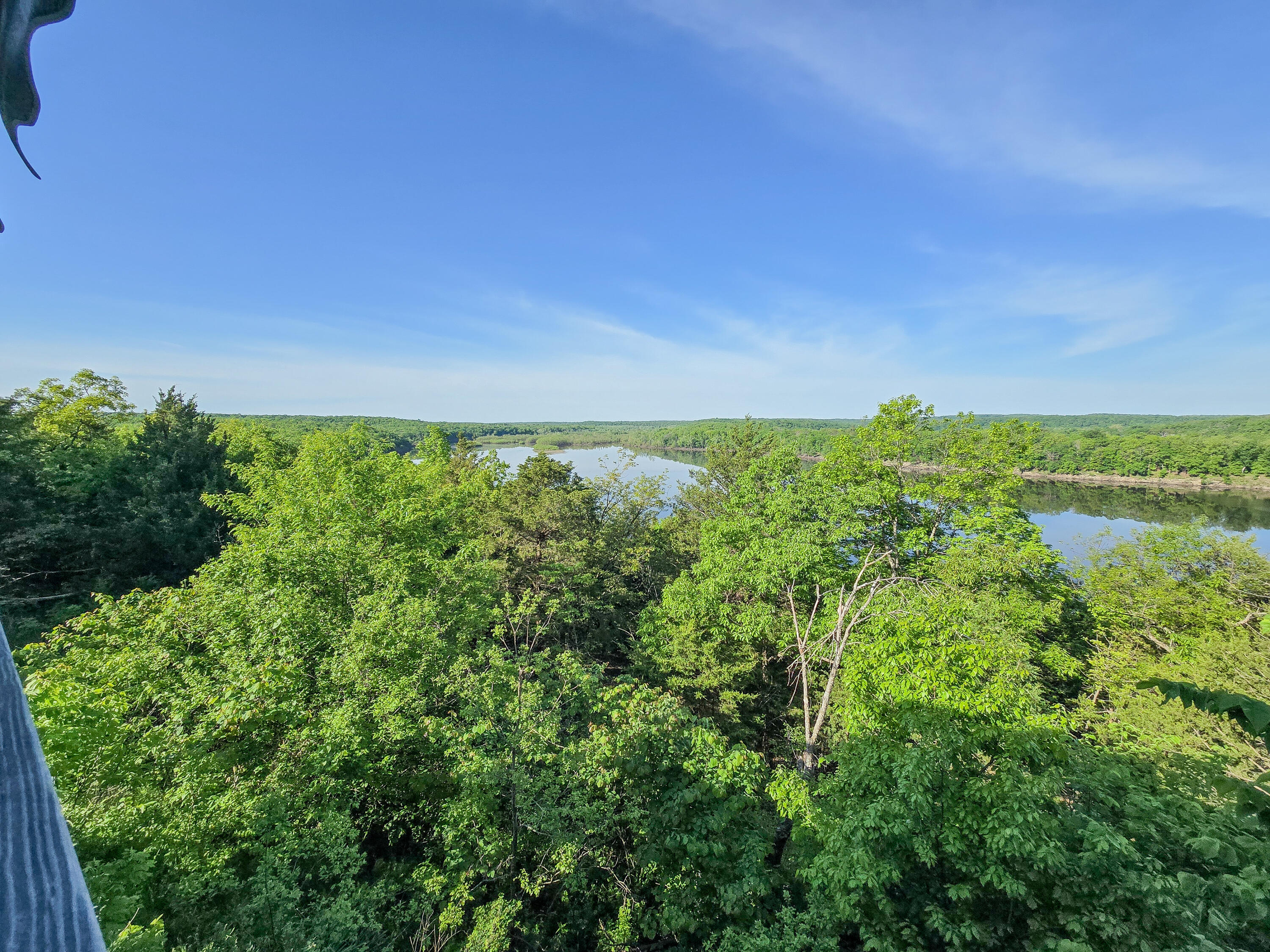 25454 Tulip Place Property Photo 10