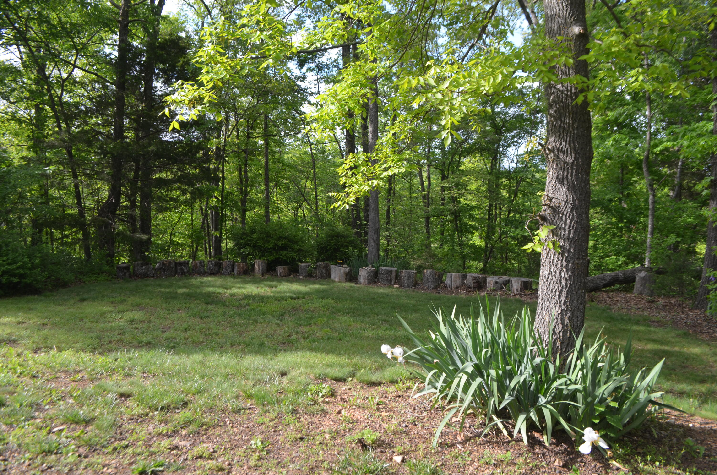 153 Secret Valley Road Property Photo 41