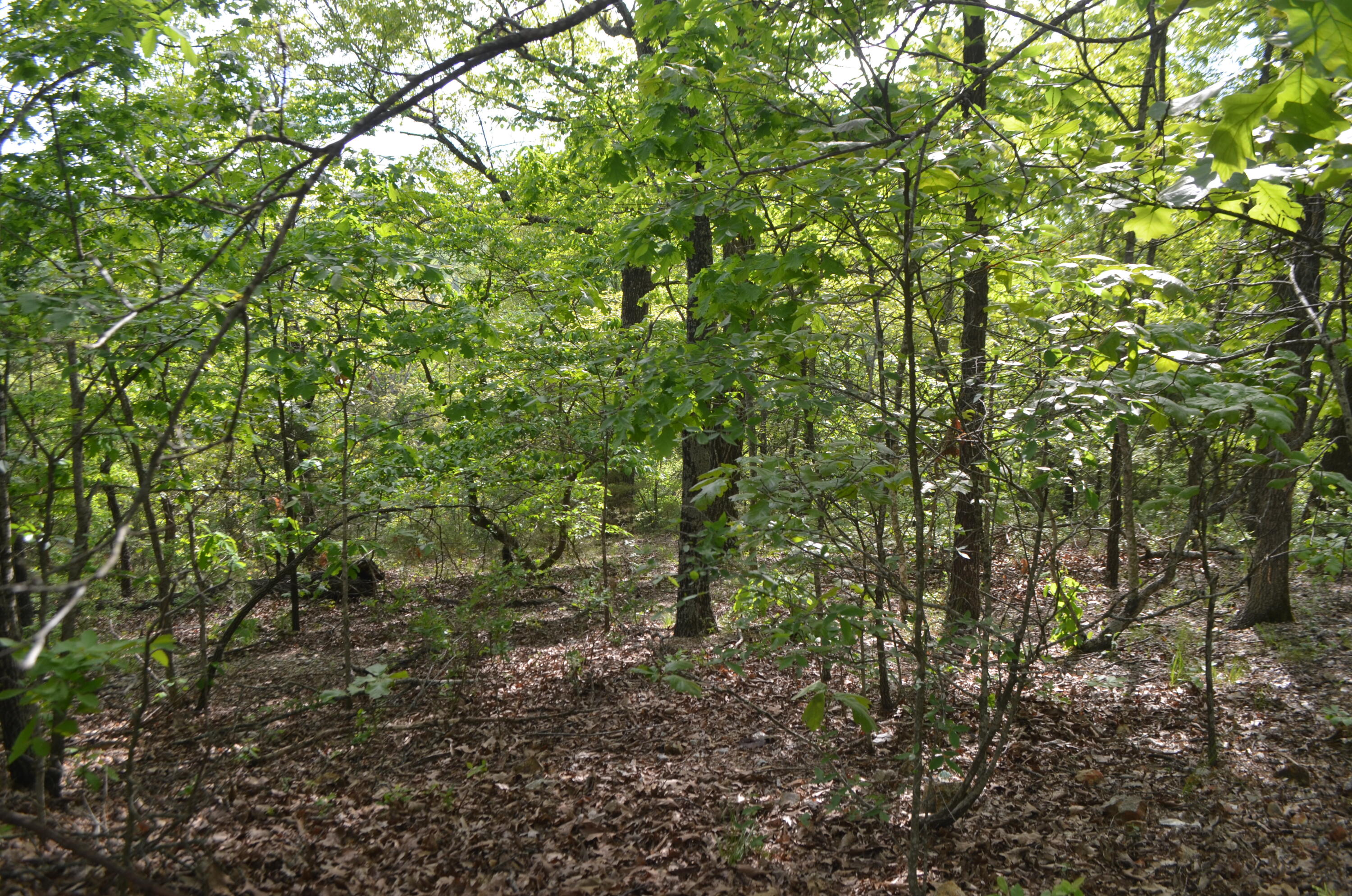 153 Secret Valley Road Property Photo 44
