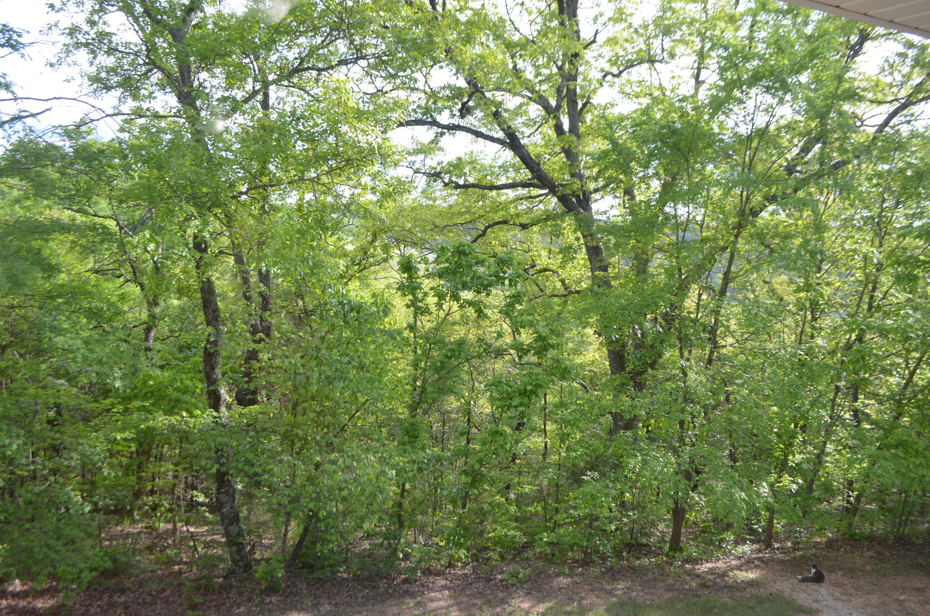153 Secret Valley Road Property Photo 45
