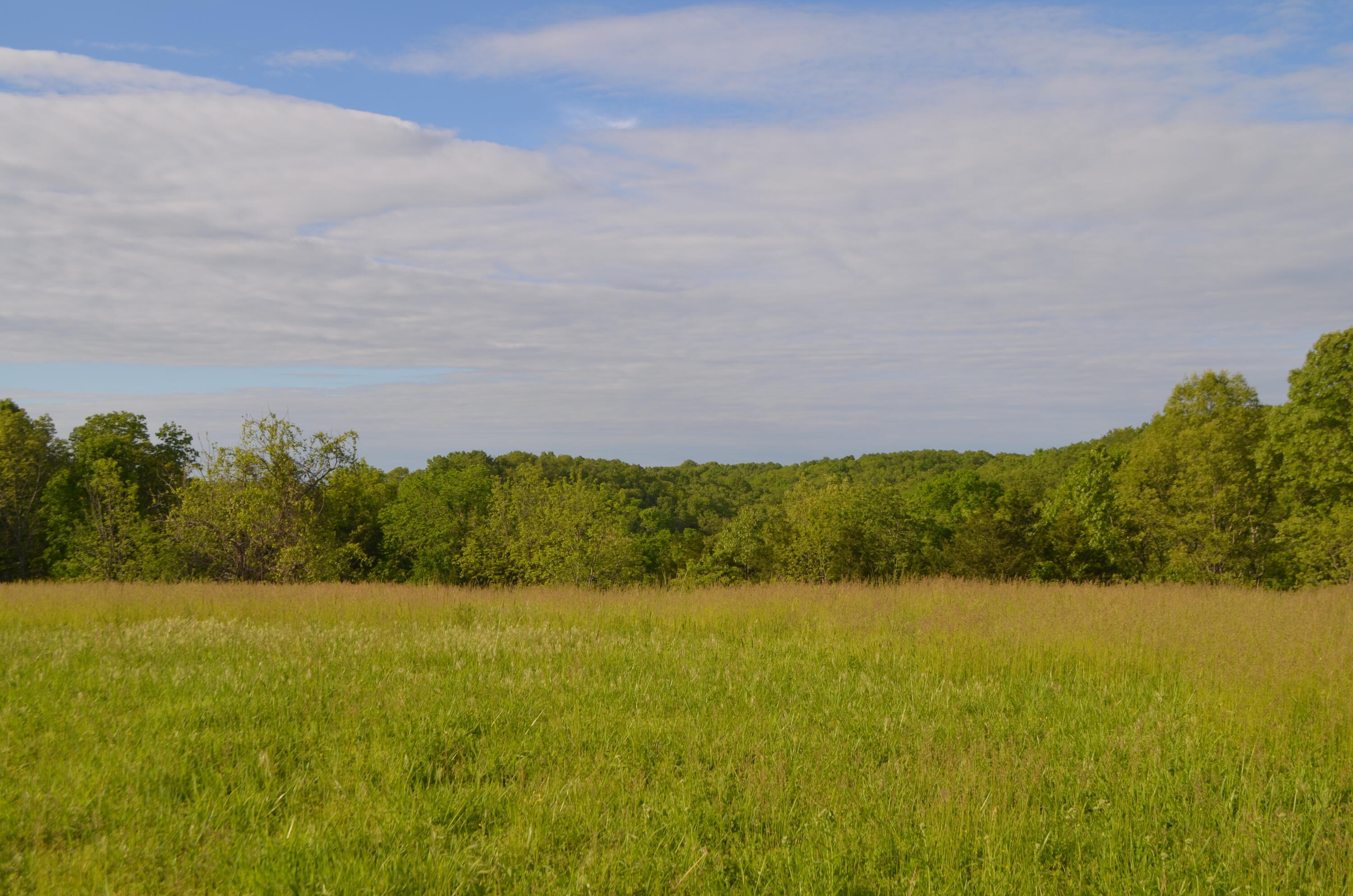 153 Secret Valley Road Property Photo 55