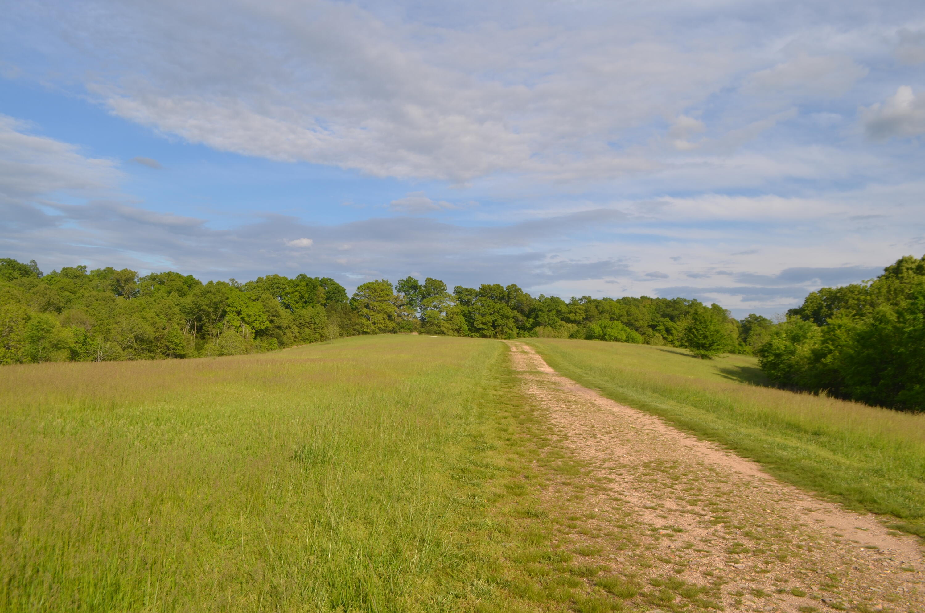 153 Secret Valley Road Property Photo 56