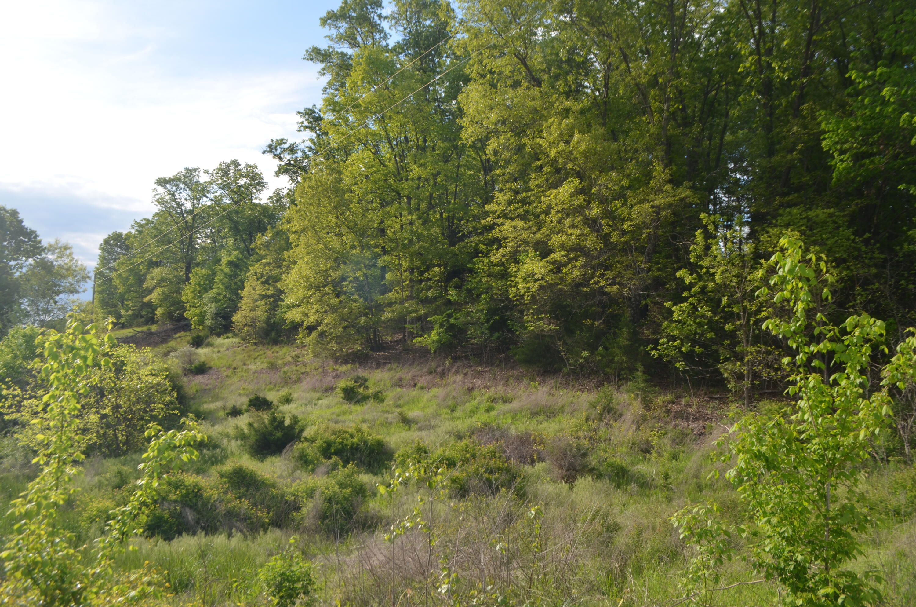 153 Secret Valley Road Property Photo 59