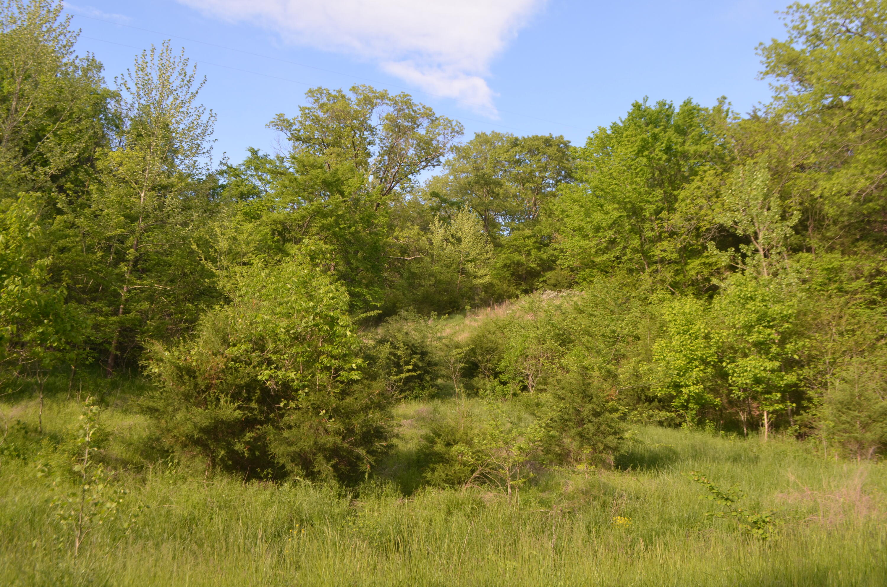153 Secret Valley Road Property Photo 62