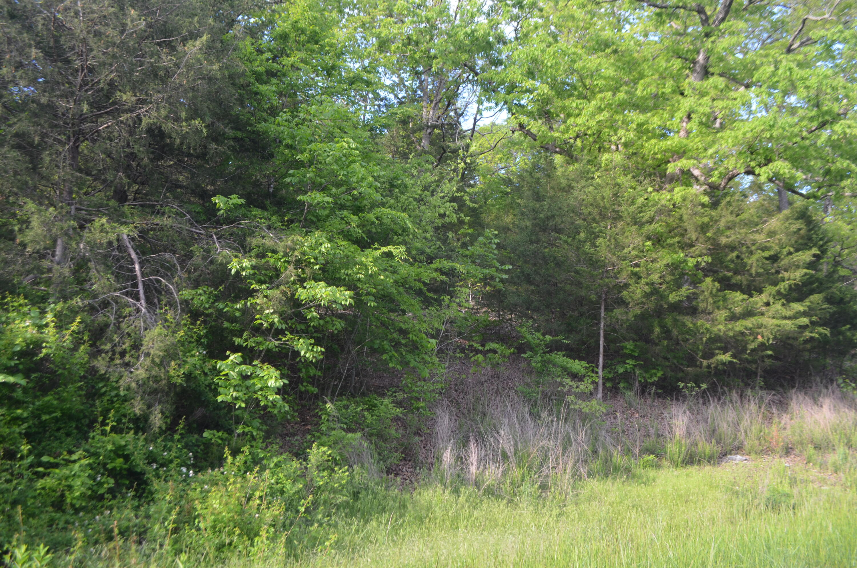 153 Secret Valley Road Property Photo 63