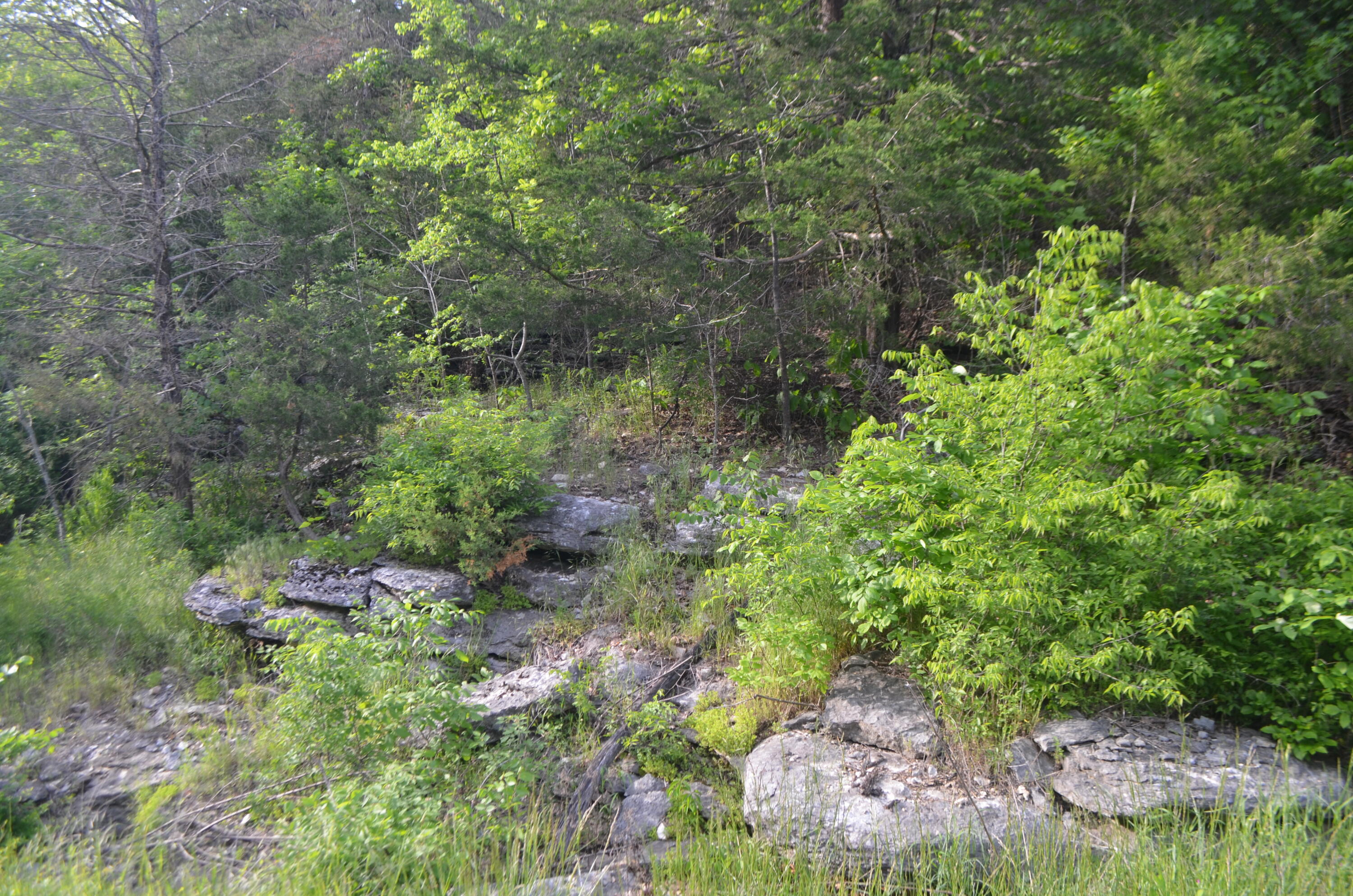 153 Secret Valley Road Property Photo 64
