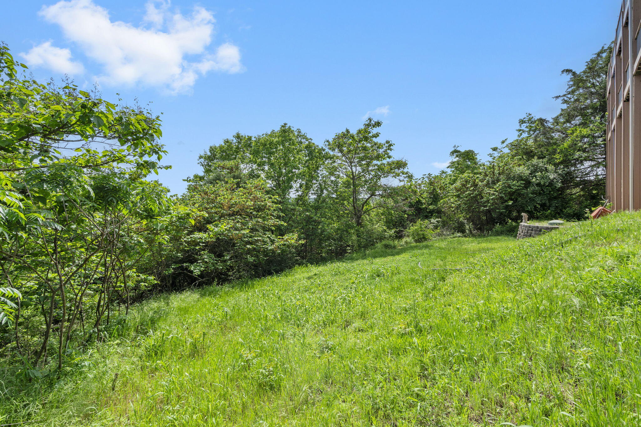 460 Jackson Hollow Road Property Photo 41