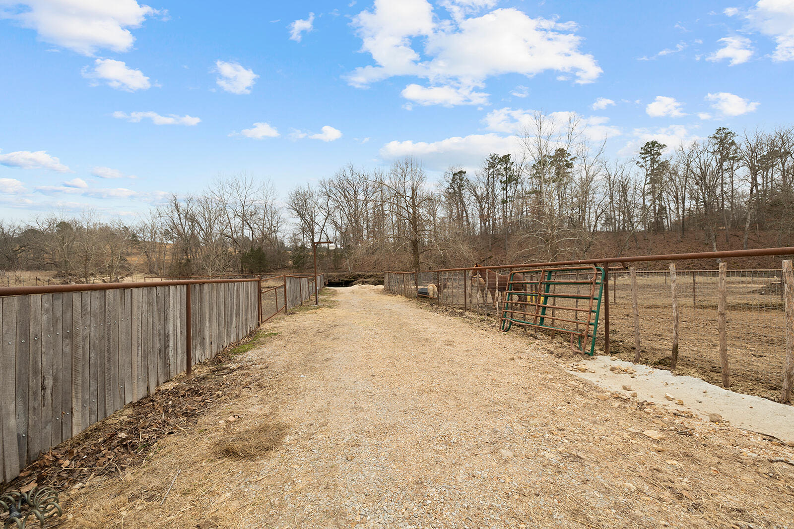12198 Kitchem Drive Property Photo 34