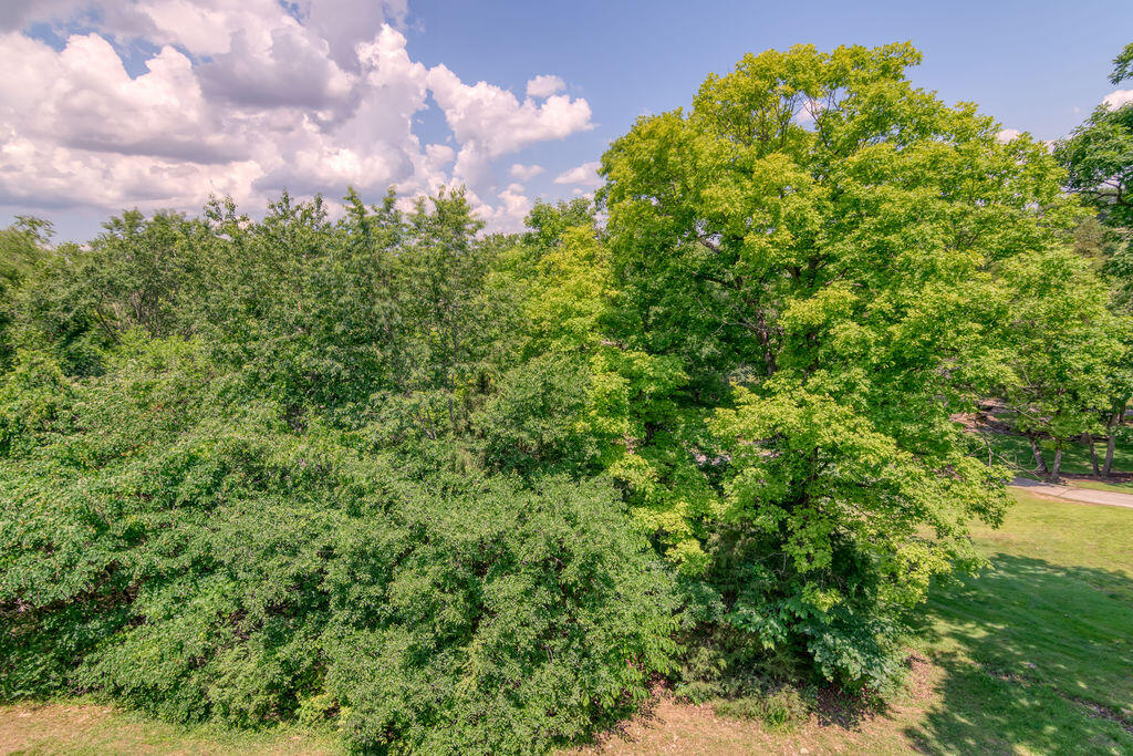 813 Holiday Ridge Property Photo 48