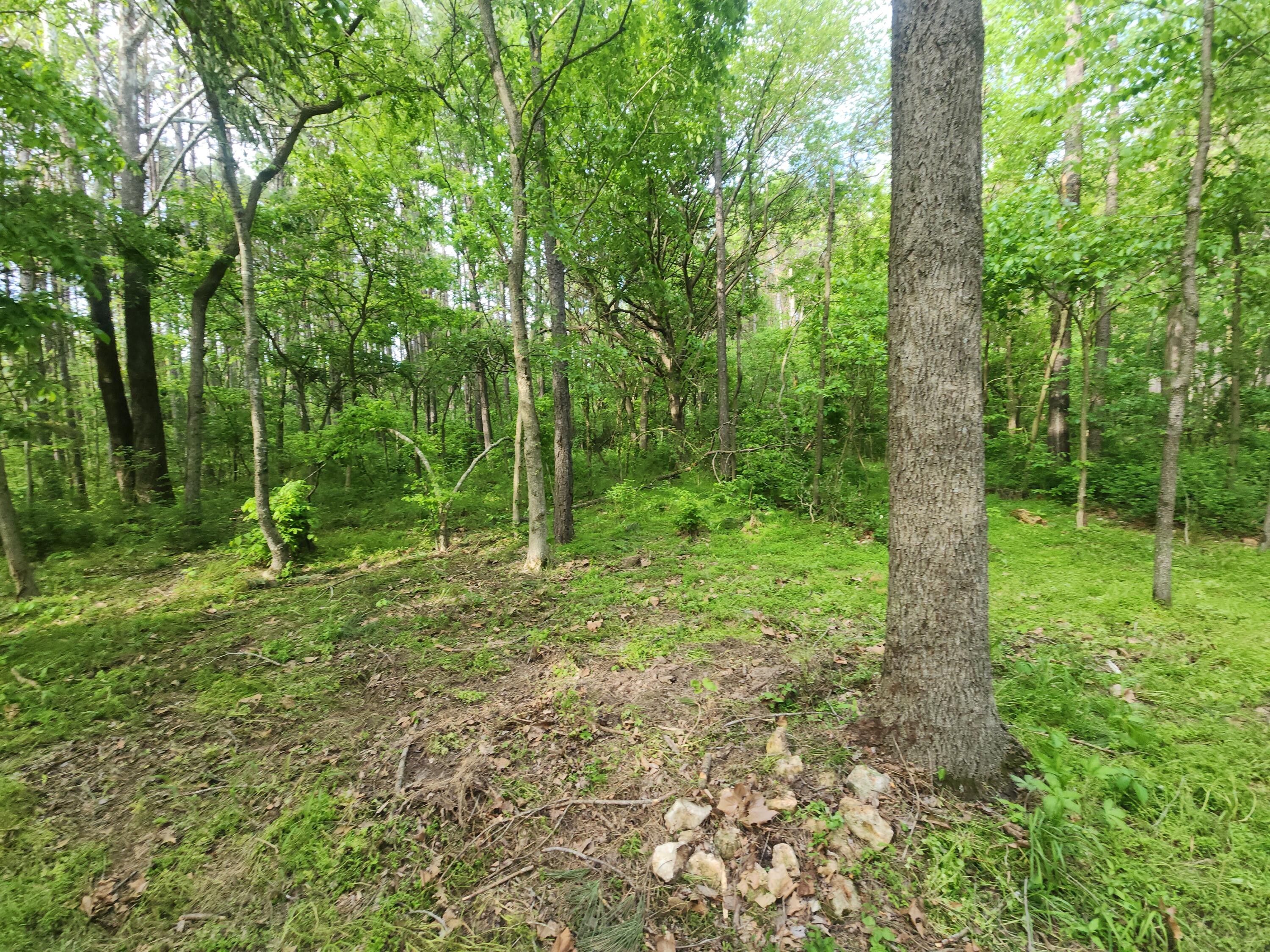 748 Puckett Road Property Photo 10