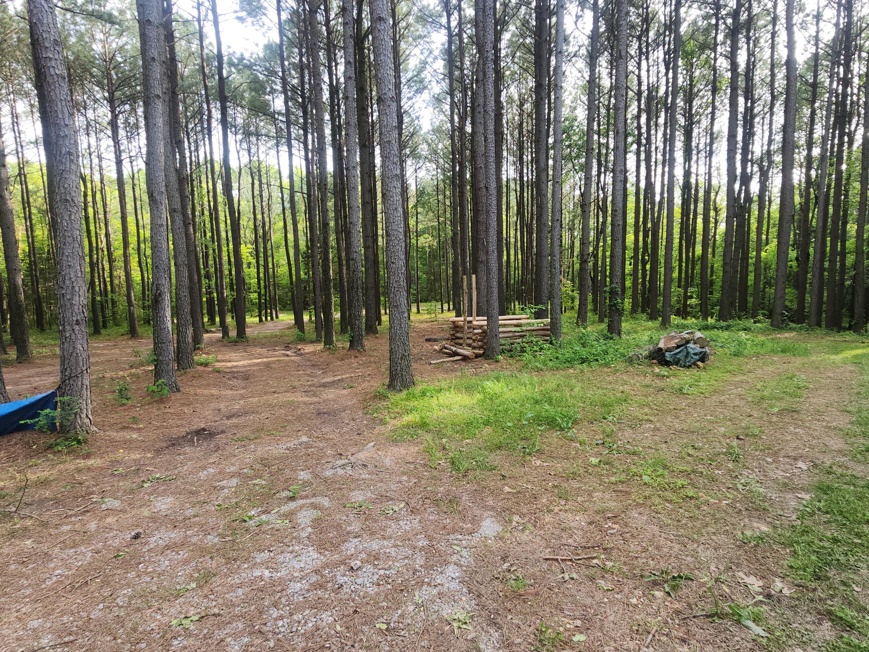 748 Puckett Road Property Photo 12