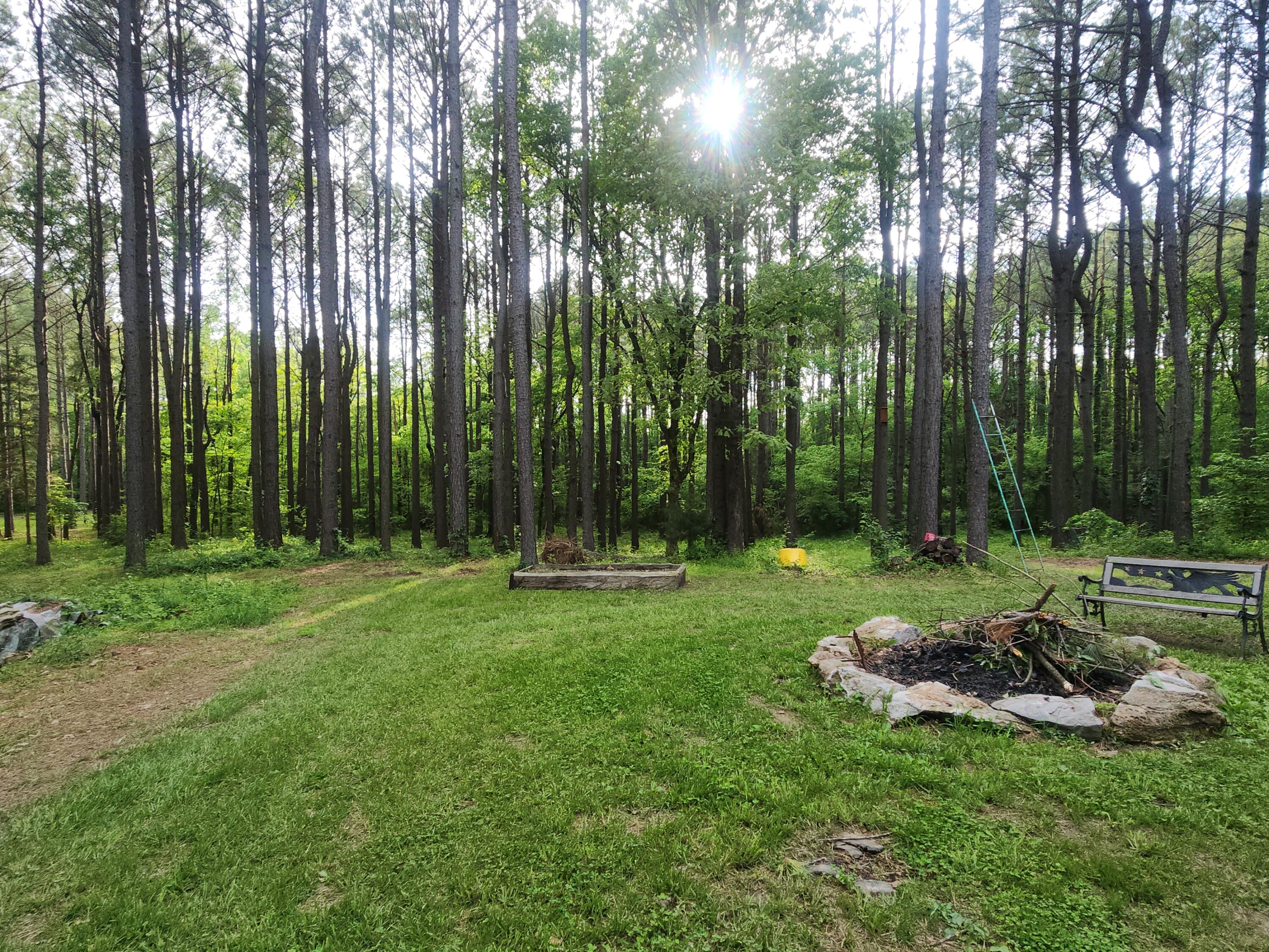 748 Puckett Road Property Photo 13