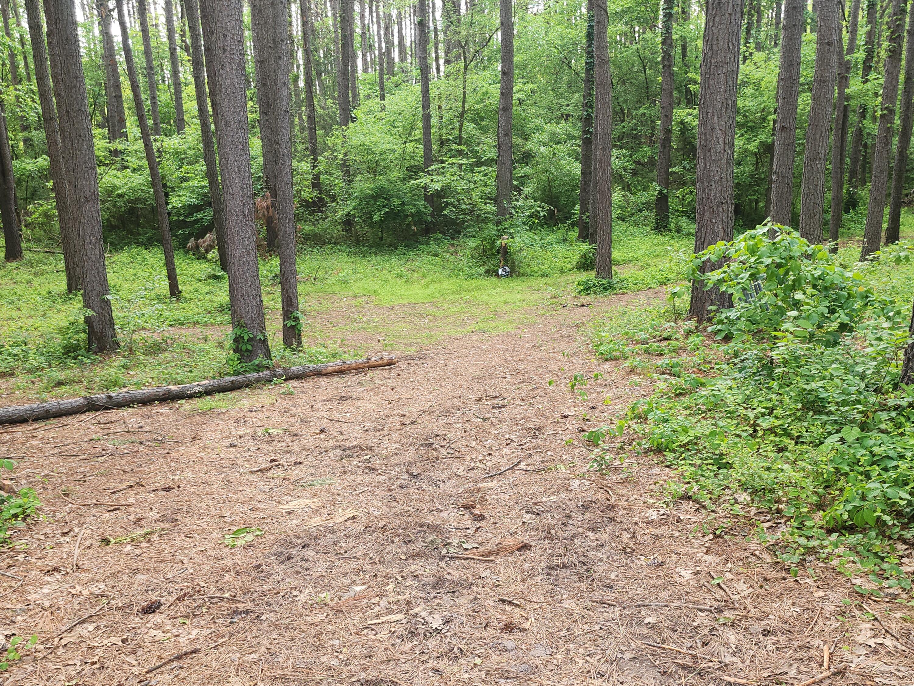 748 Puckett Road Property Photo 14
