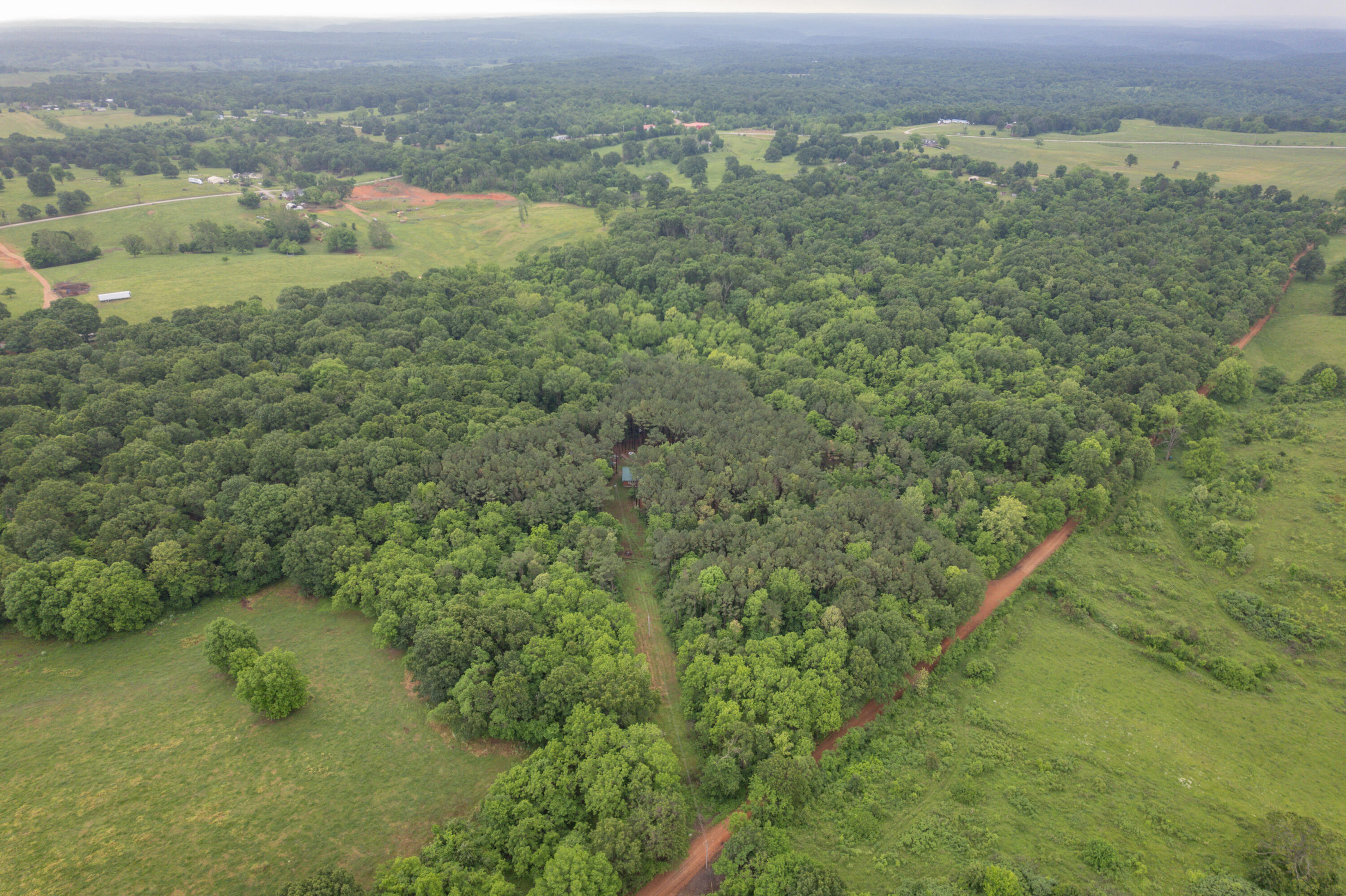 748 Puckett Road Property Photo 35