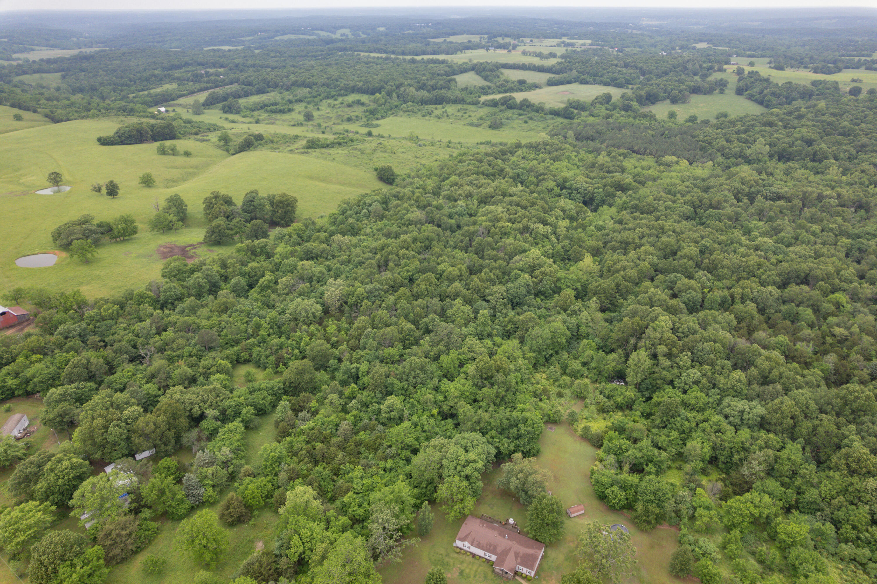 748 Puckett Road Property Photo 36